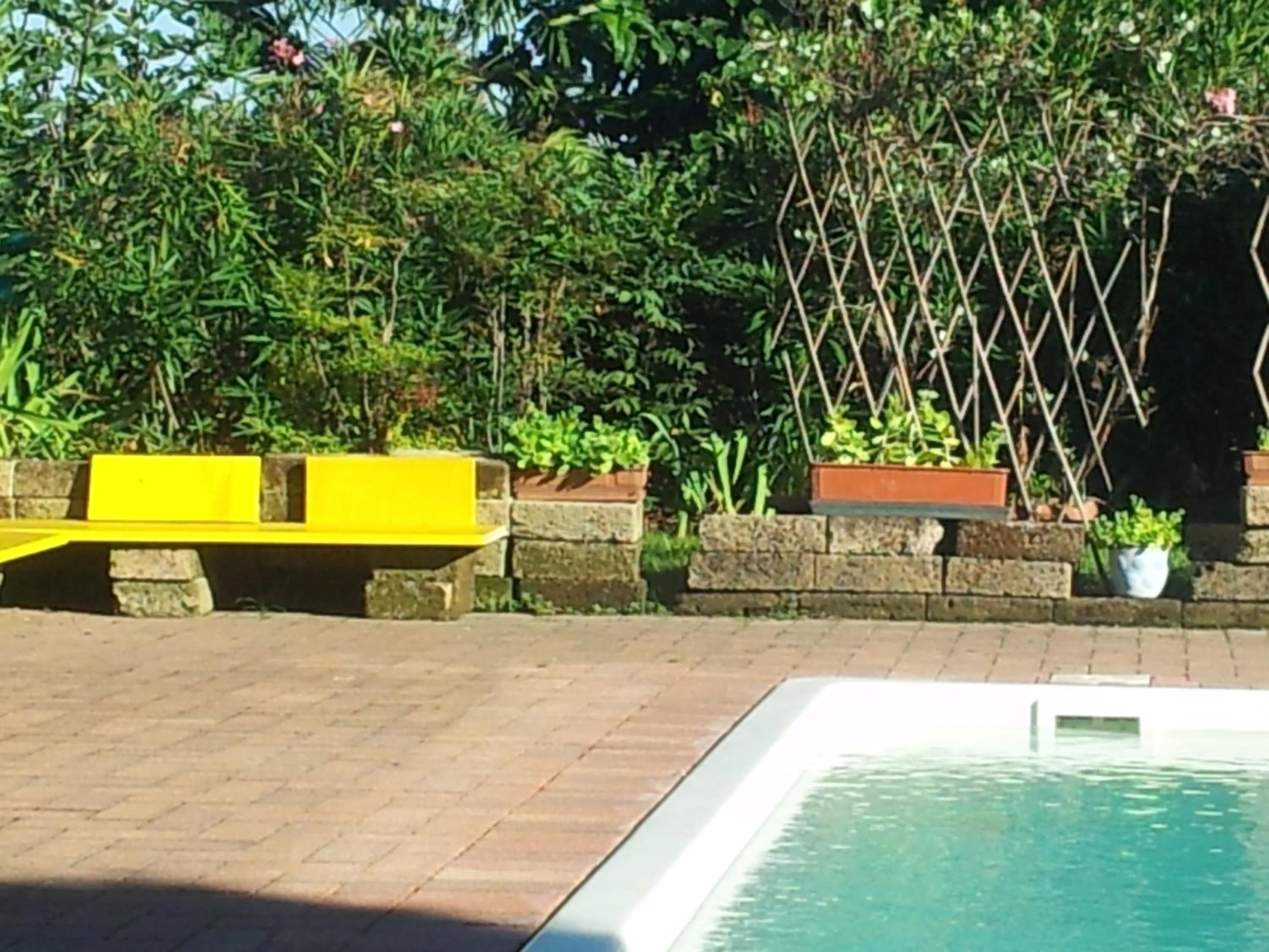 Pool view in B&B Il Pioppo E La Fonte