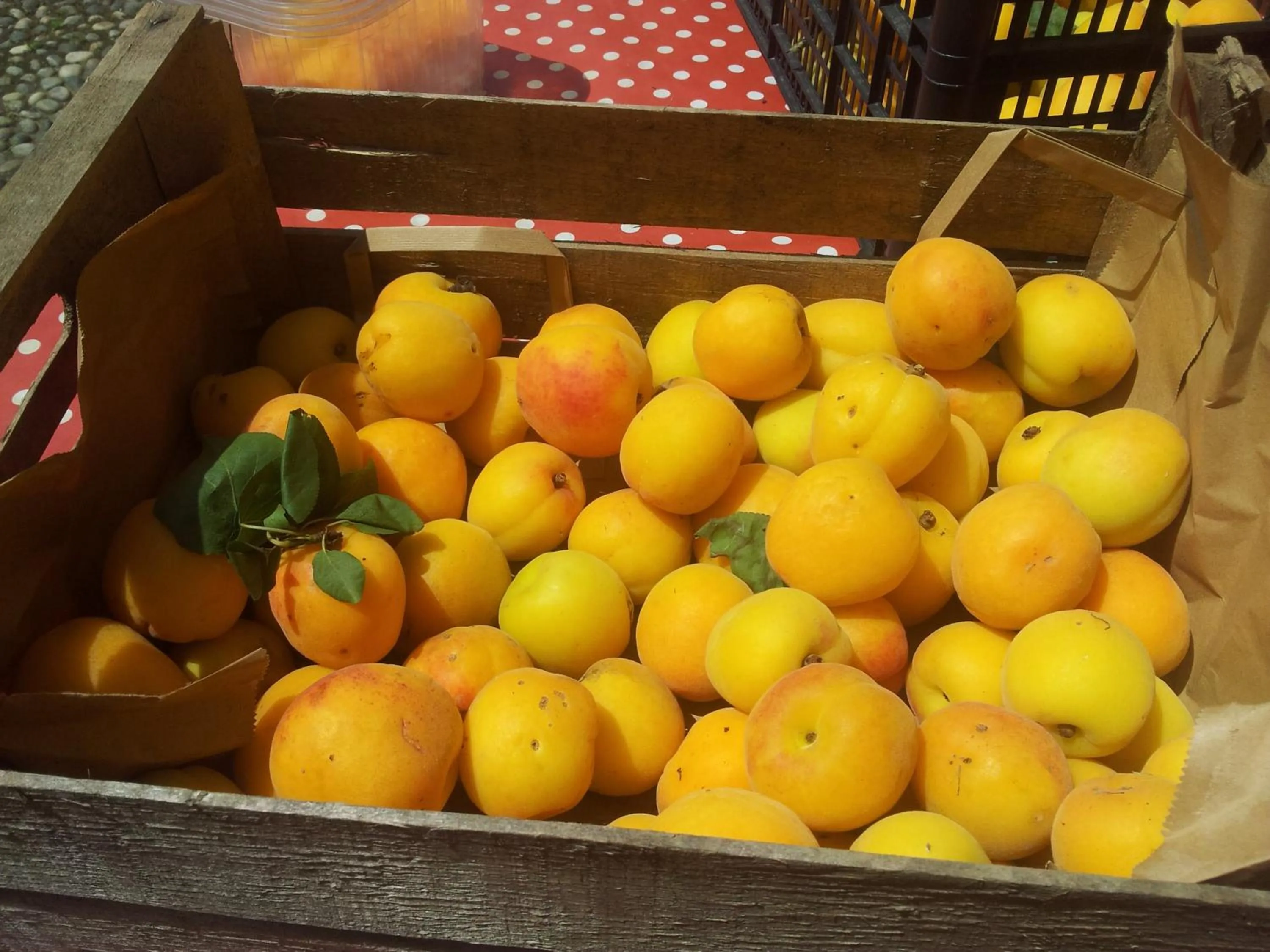 Food and drinks in B&B Il Pioppo E La Fonte