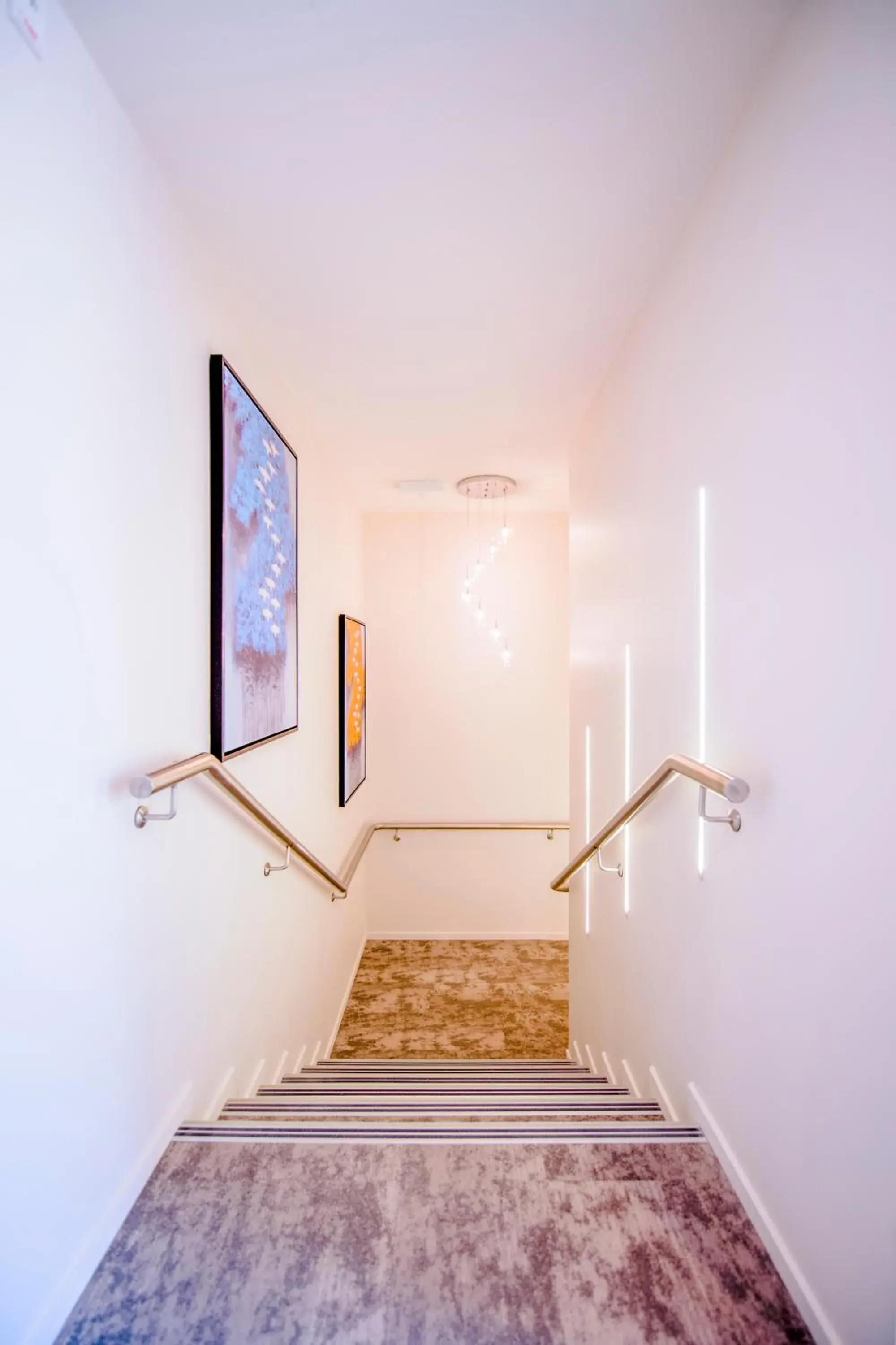 Area and facilities, Bed in Alpine Hotel Area and facilities, Bed in Alpine Hotel