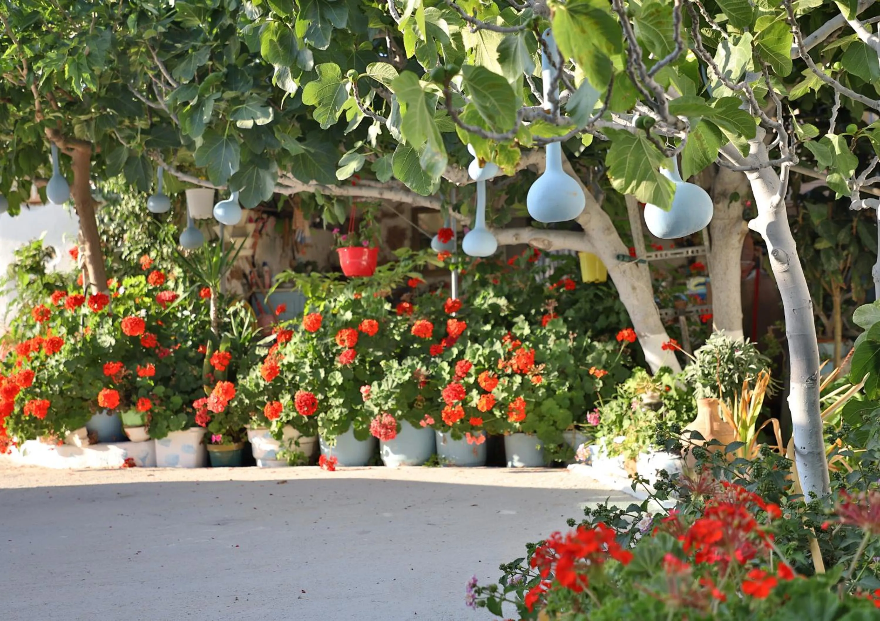 Helios Studios & Apartments