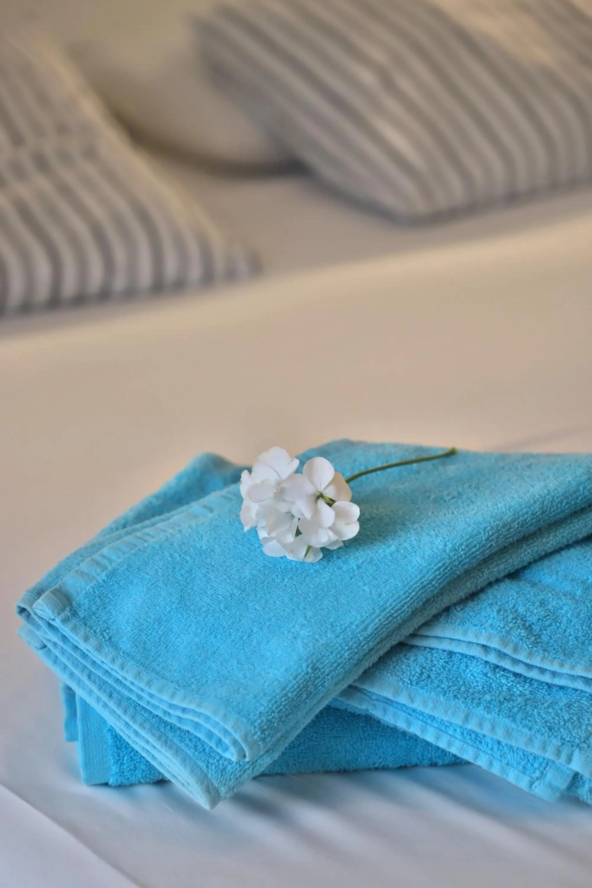 Bed in Helios Studios & Apartments