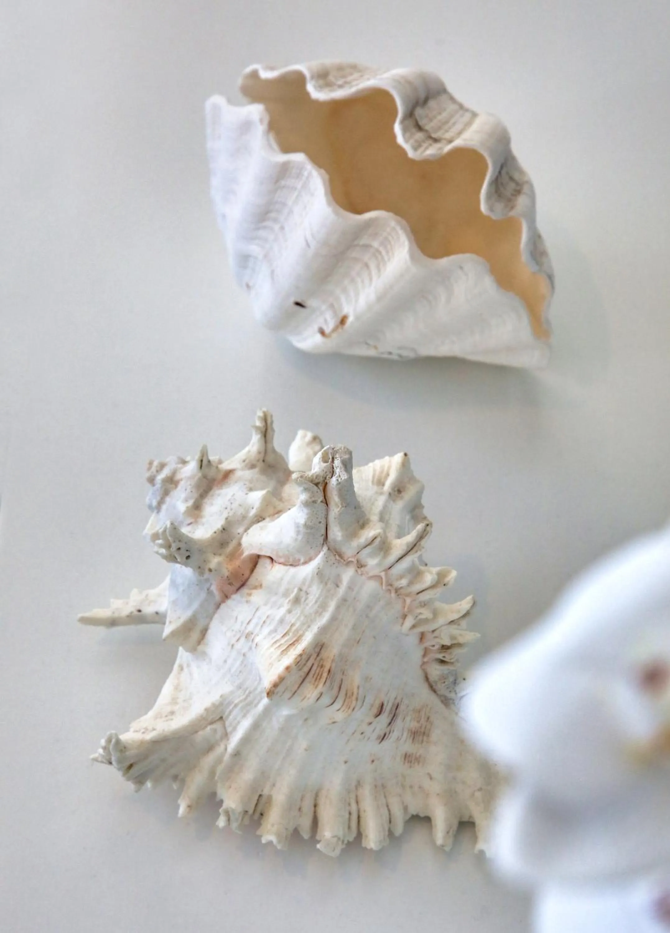 Helios Studios & Apartments