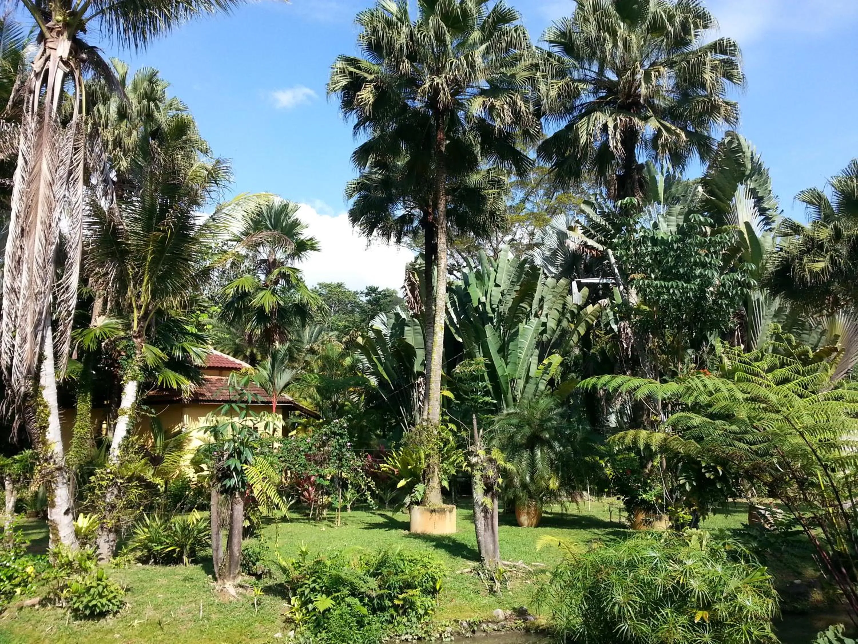 Natural landscape in Seri Pengantin Resort