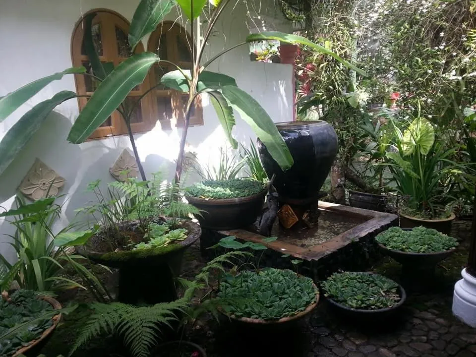 Natural landscape in Seri Pengantin Resort