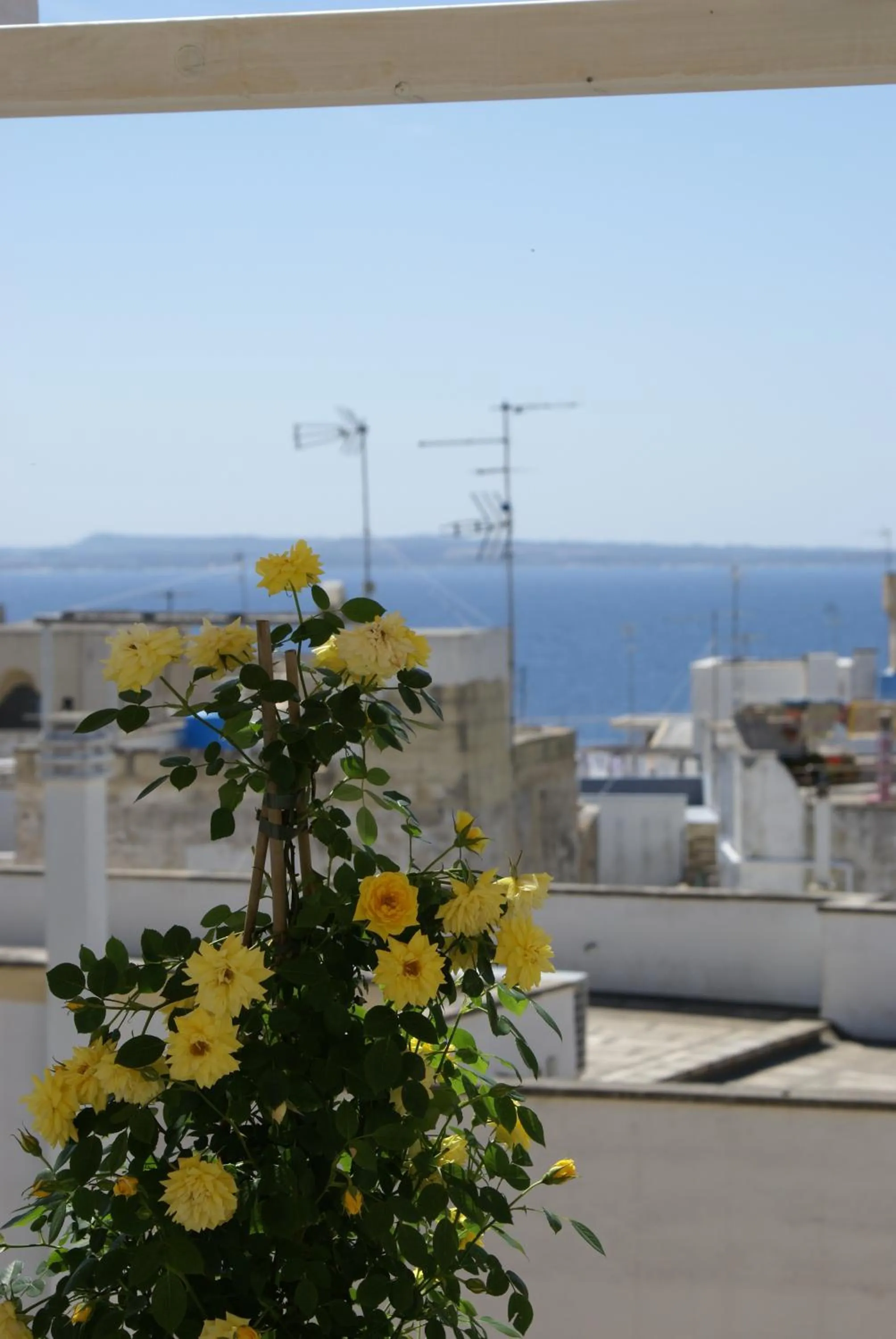 Day in B&B Dimora Muzio and Restaurant