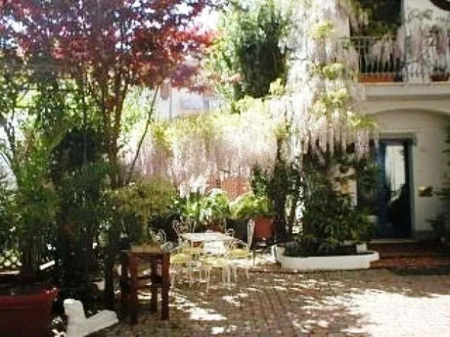 Garden in Hotel Derby