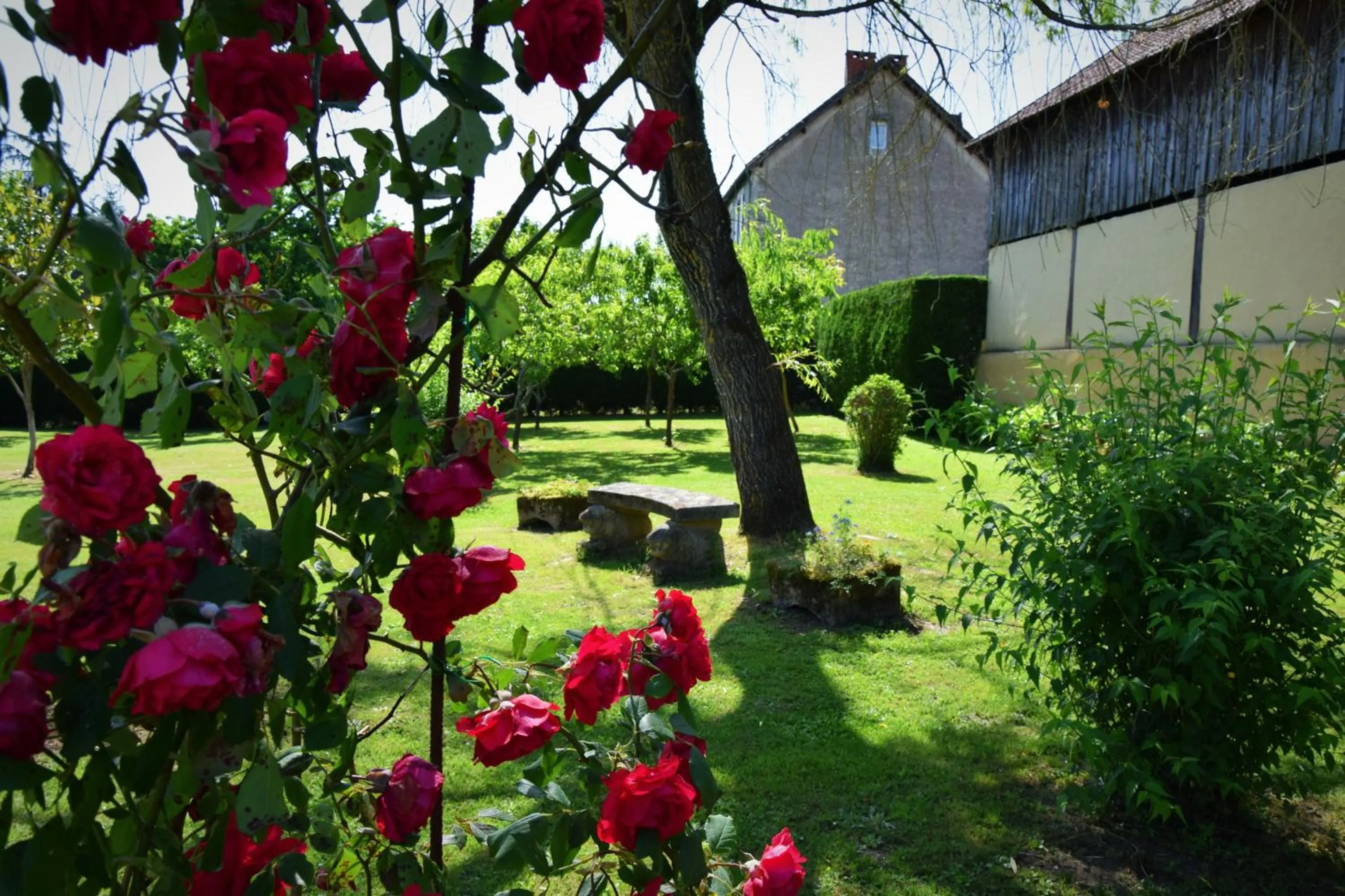 Garden in L'Intemporelle B&B