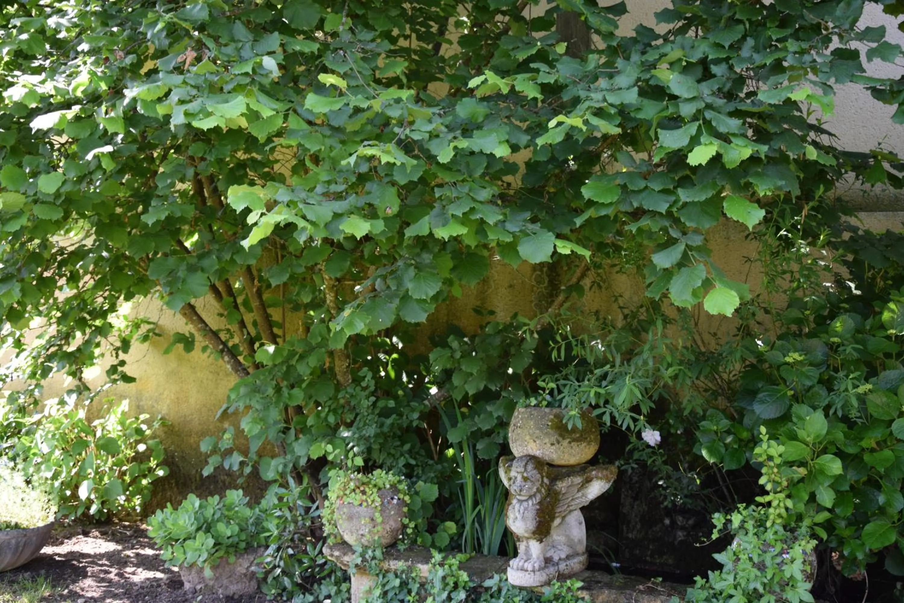 Garden in L'Intemporelle B&B