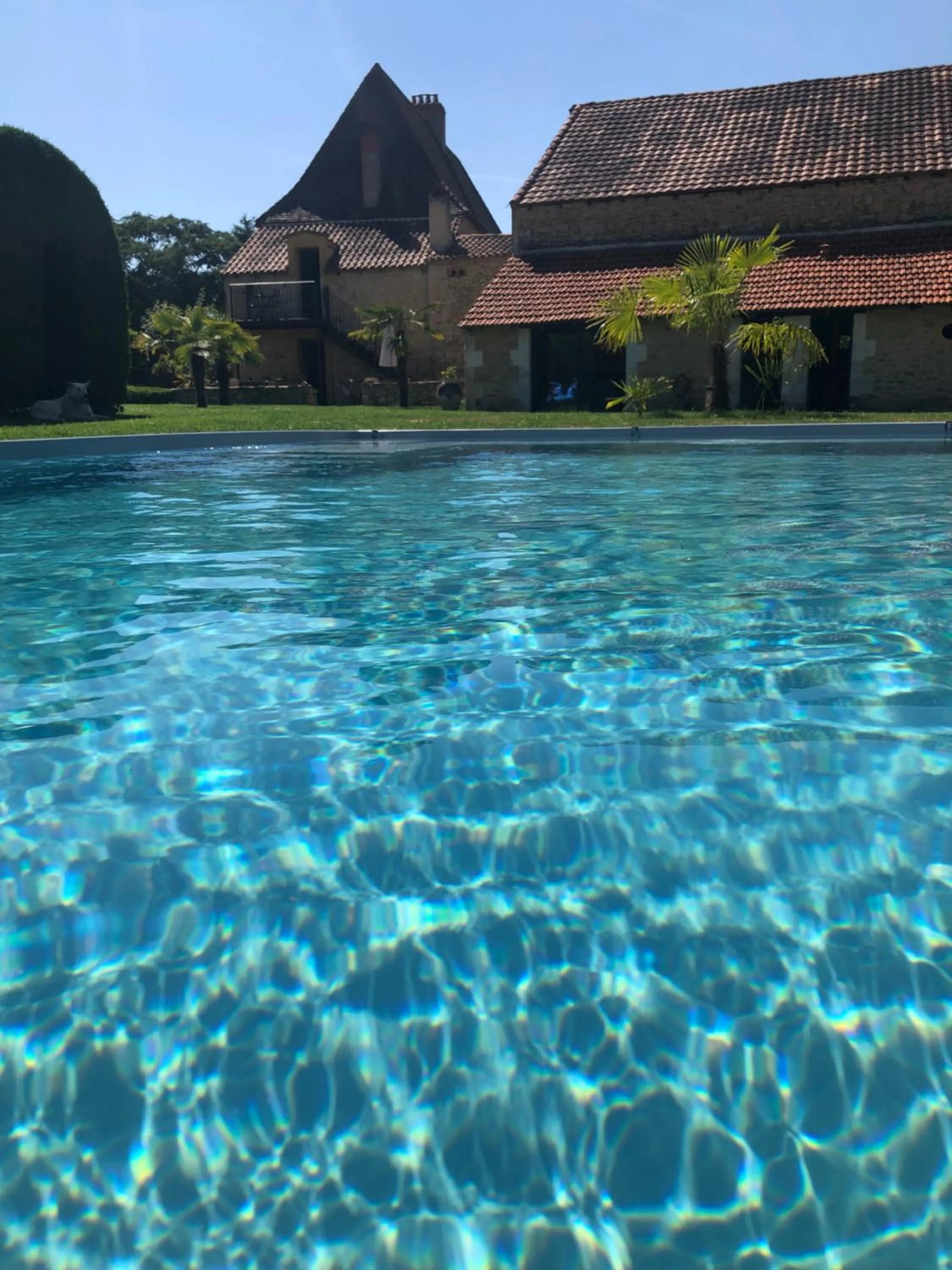 Pool view in L'Intemporelle B&B
