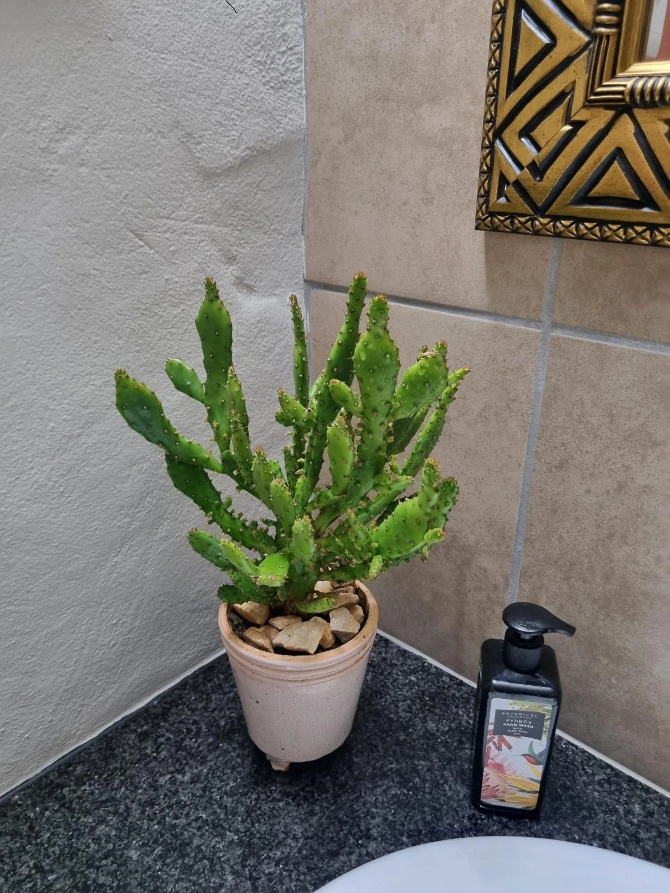 Barrydale Karoo - BOUTIQUE HOTEL