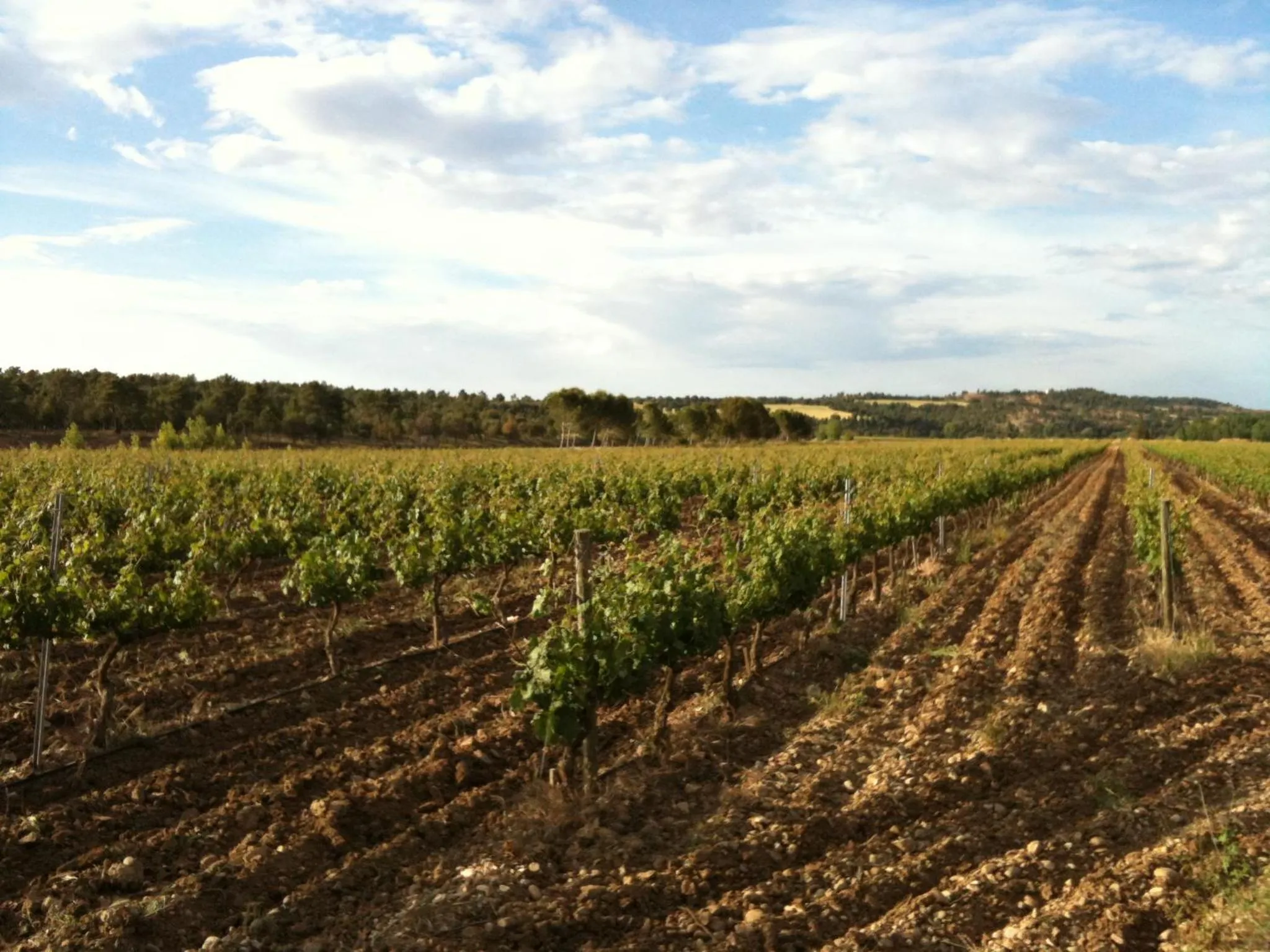 View (from property/room) in Hotel SPA El Lagar de Isilla
