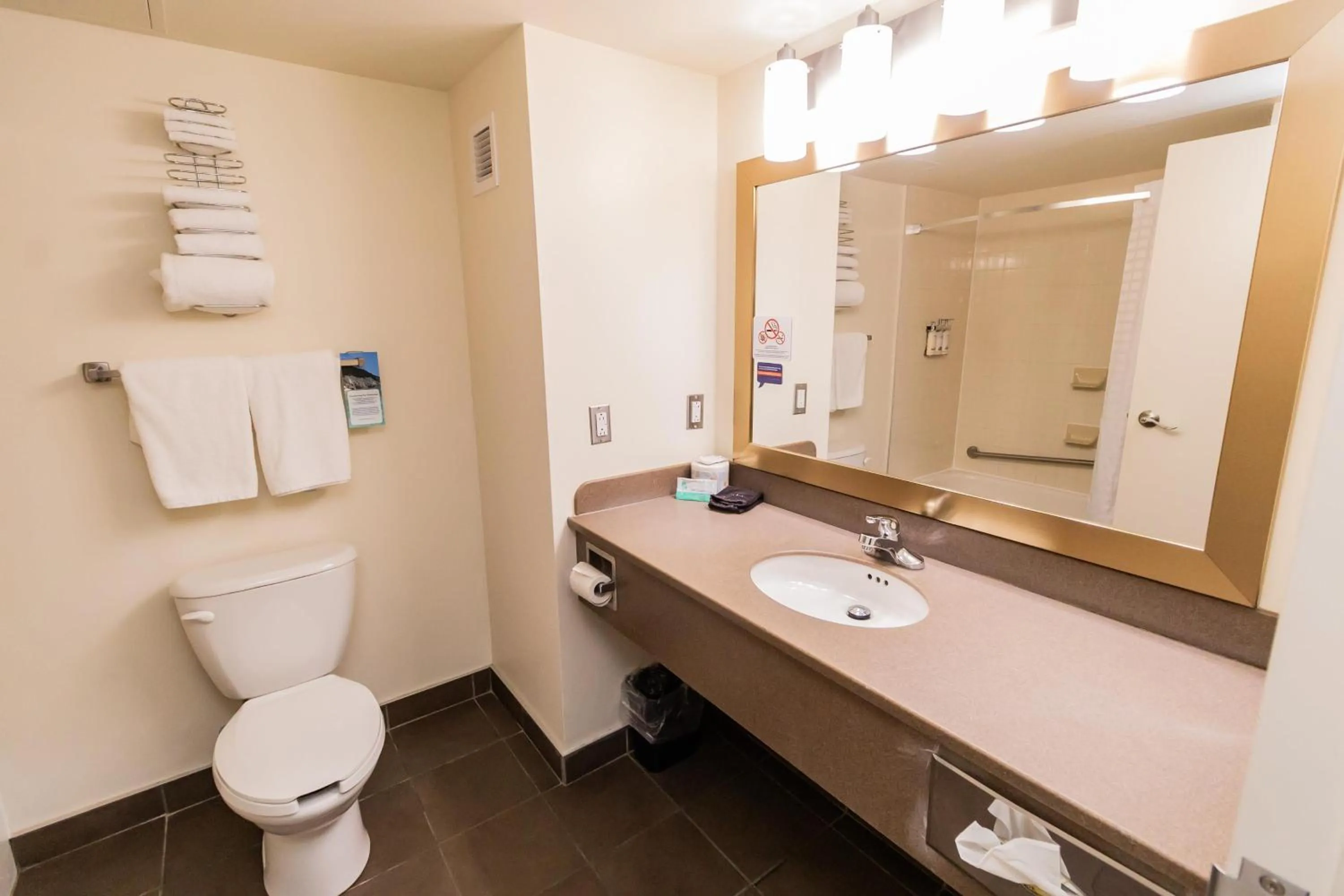 Bathroom in Deer Lake Horizon Hotel, BW Signature Collection