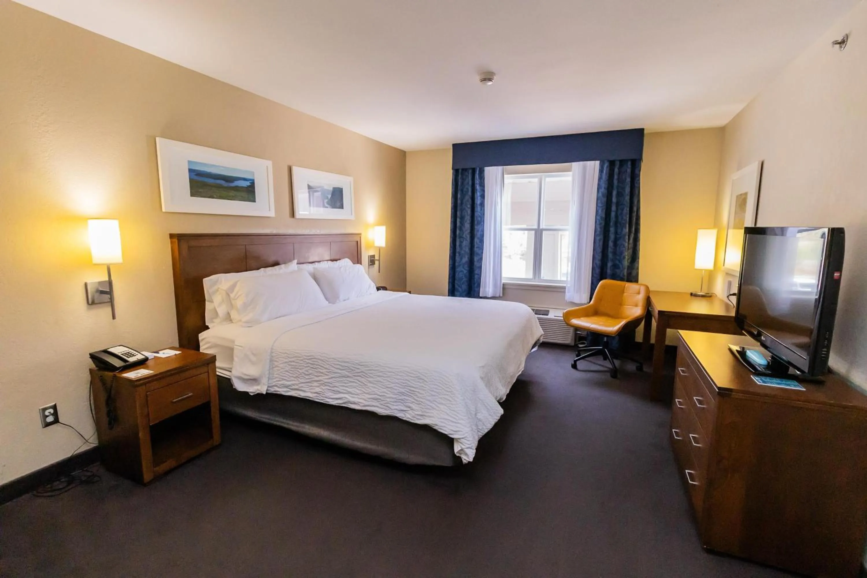 Photo of the whole room, Bed in Deer Lake Horizon Hotel, BW Signature Collection