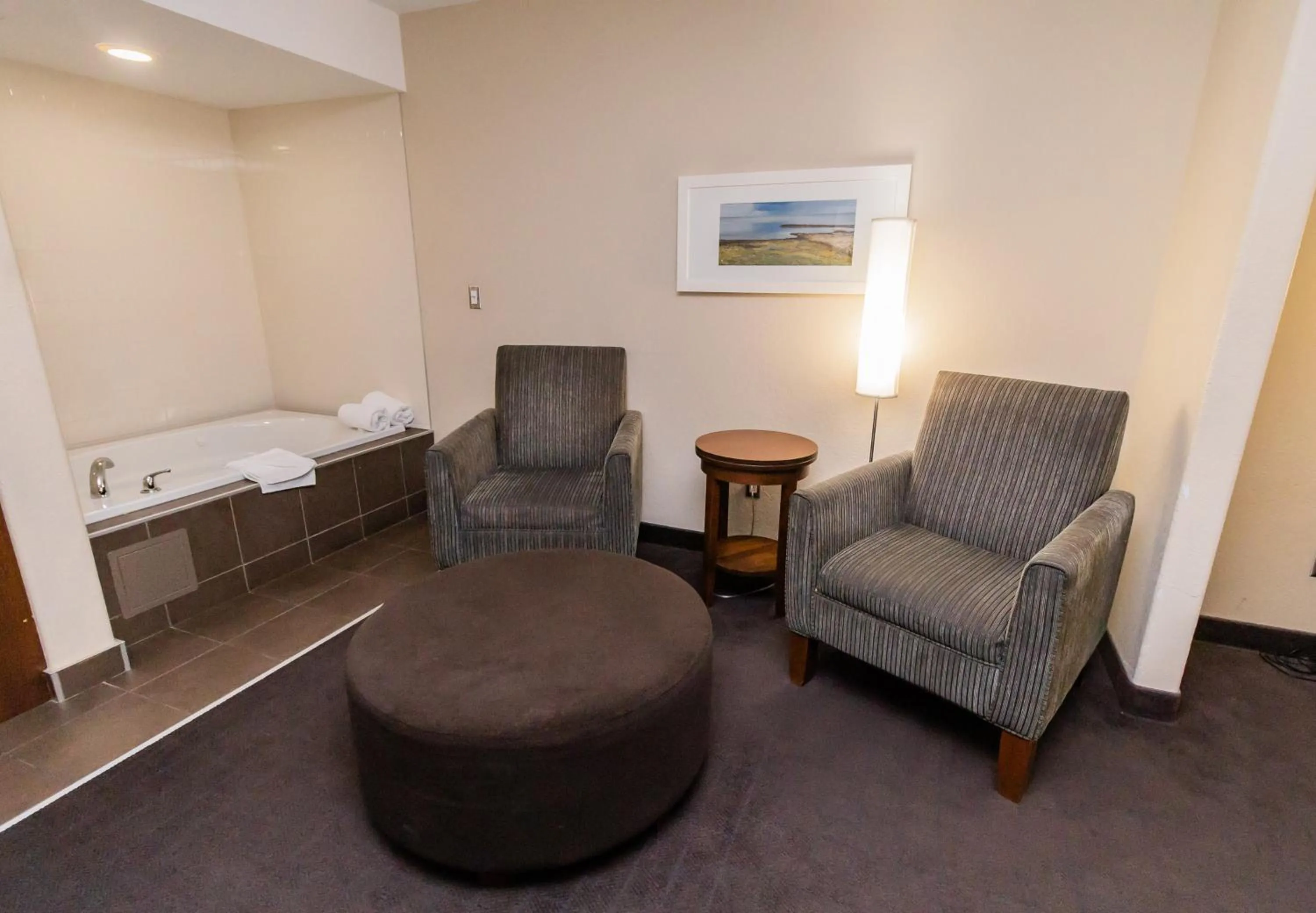 Seating area in Deer Lake Horizon Hotel