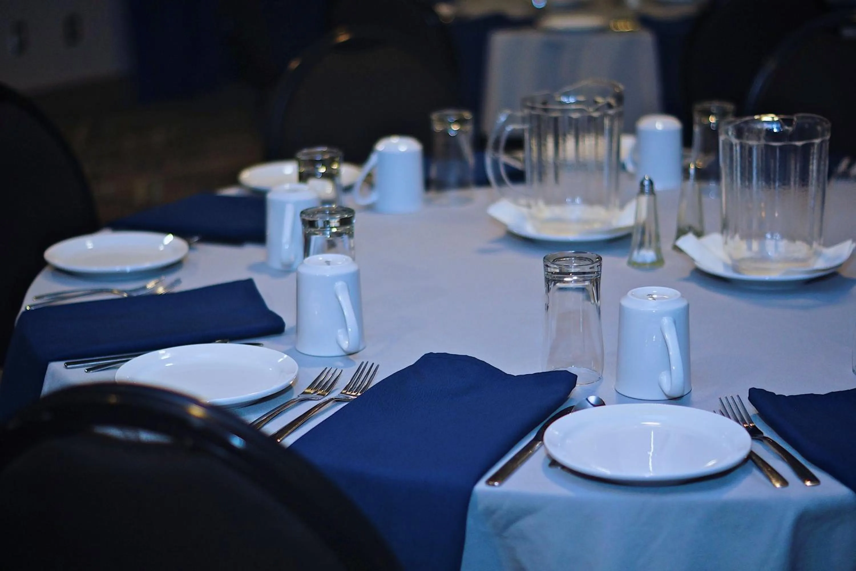 Banquet/Function facilities in Deer Lake Horizon Hotel