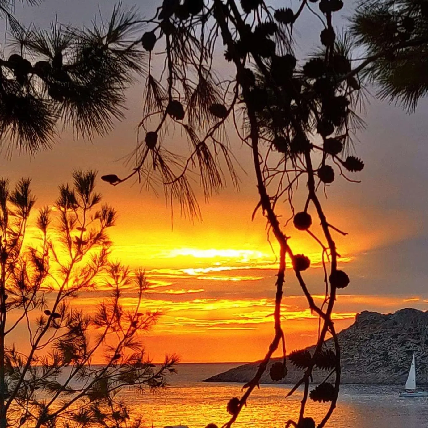 Natural landscape in Aphrodite Studios