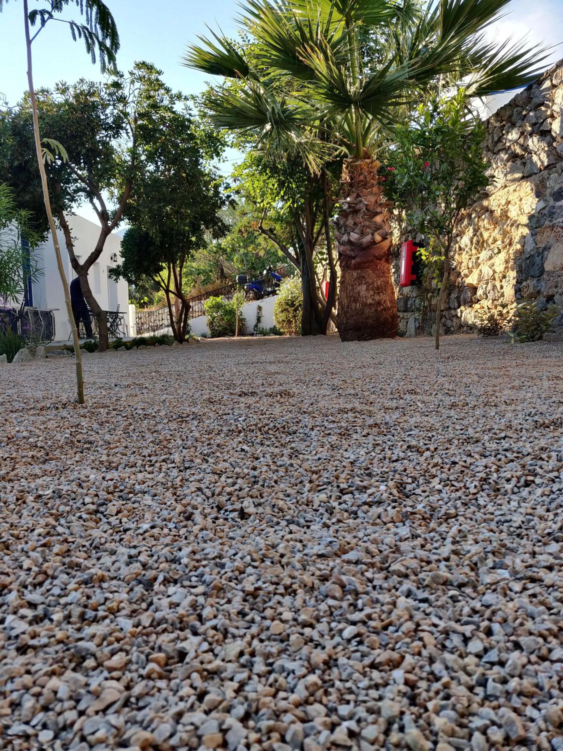 Garden in Aphrodite Studios