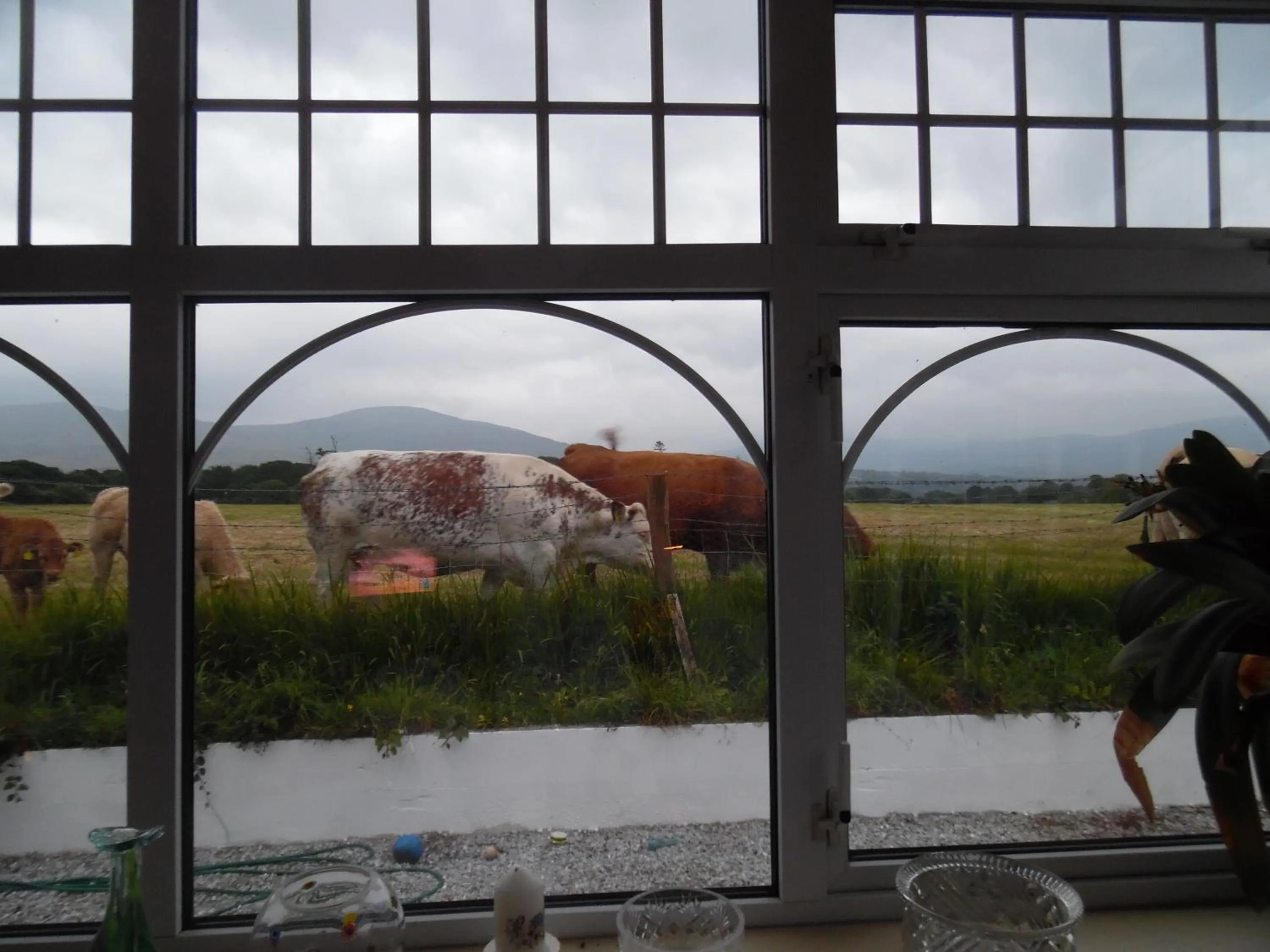 Natural landscape in River Meadows B&B