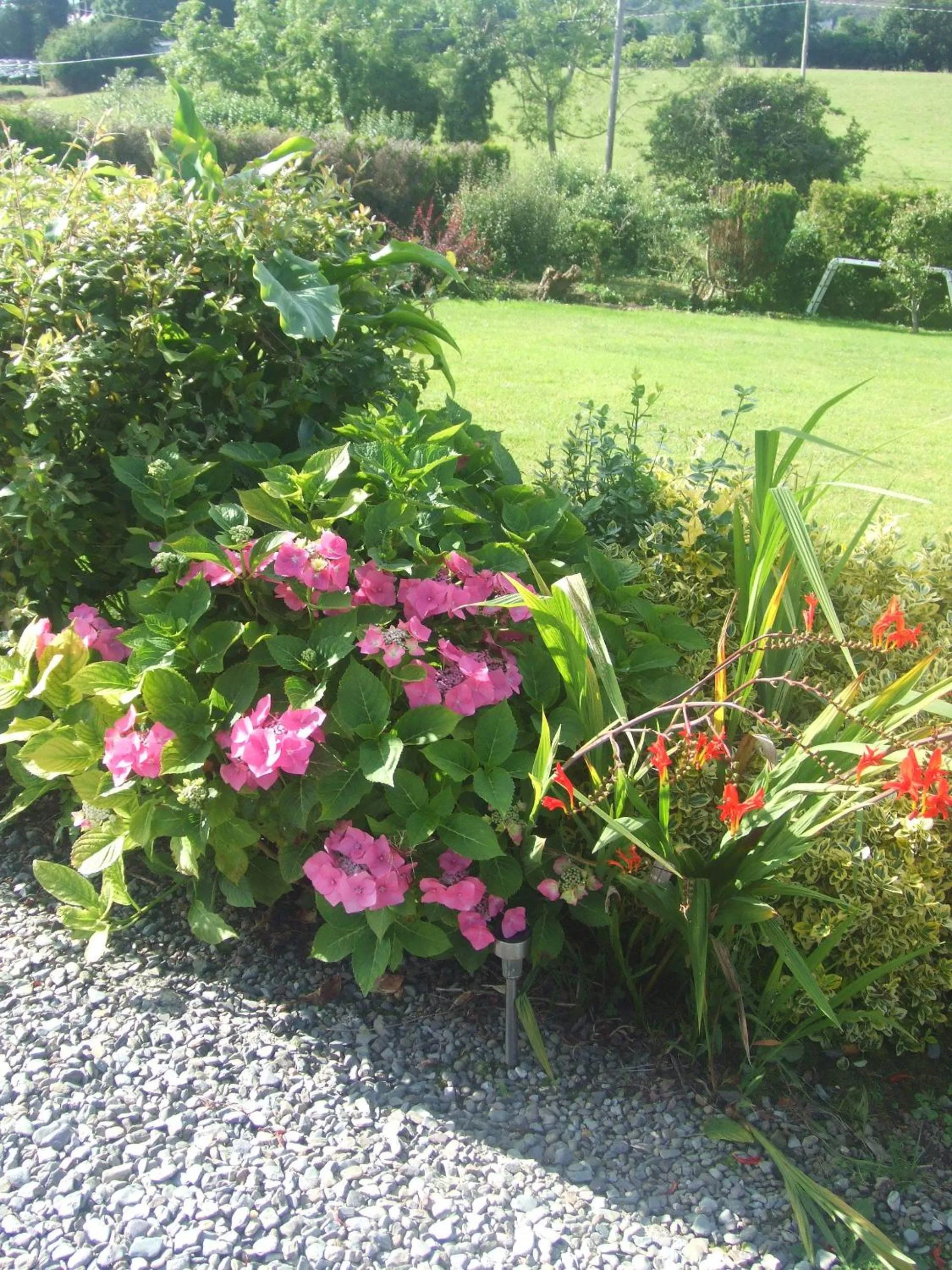 Garden in River Meadows B&B