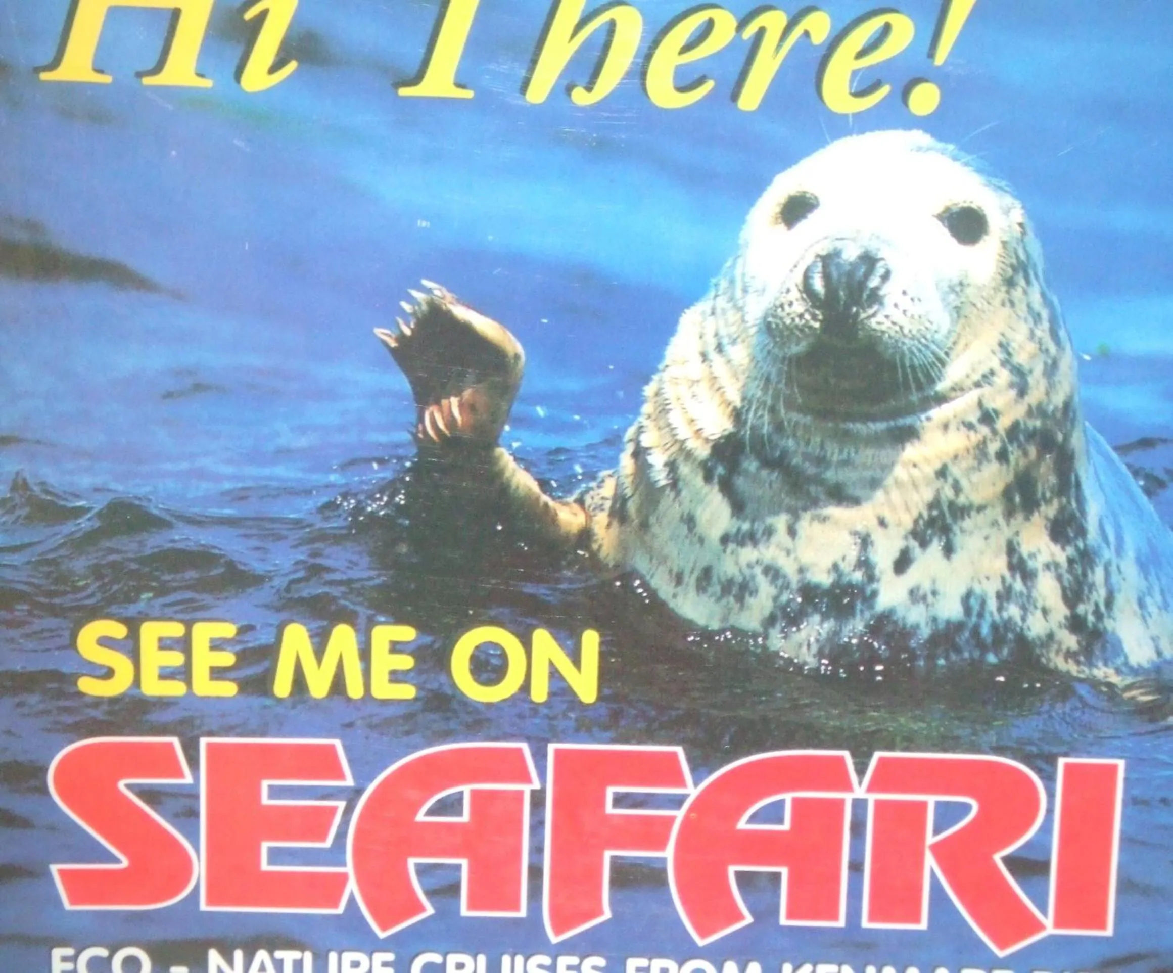 Activities in River Meadows B&B