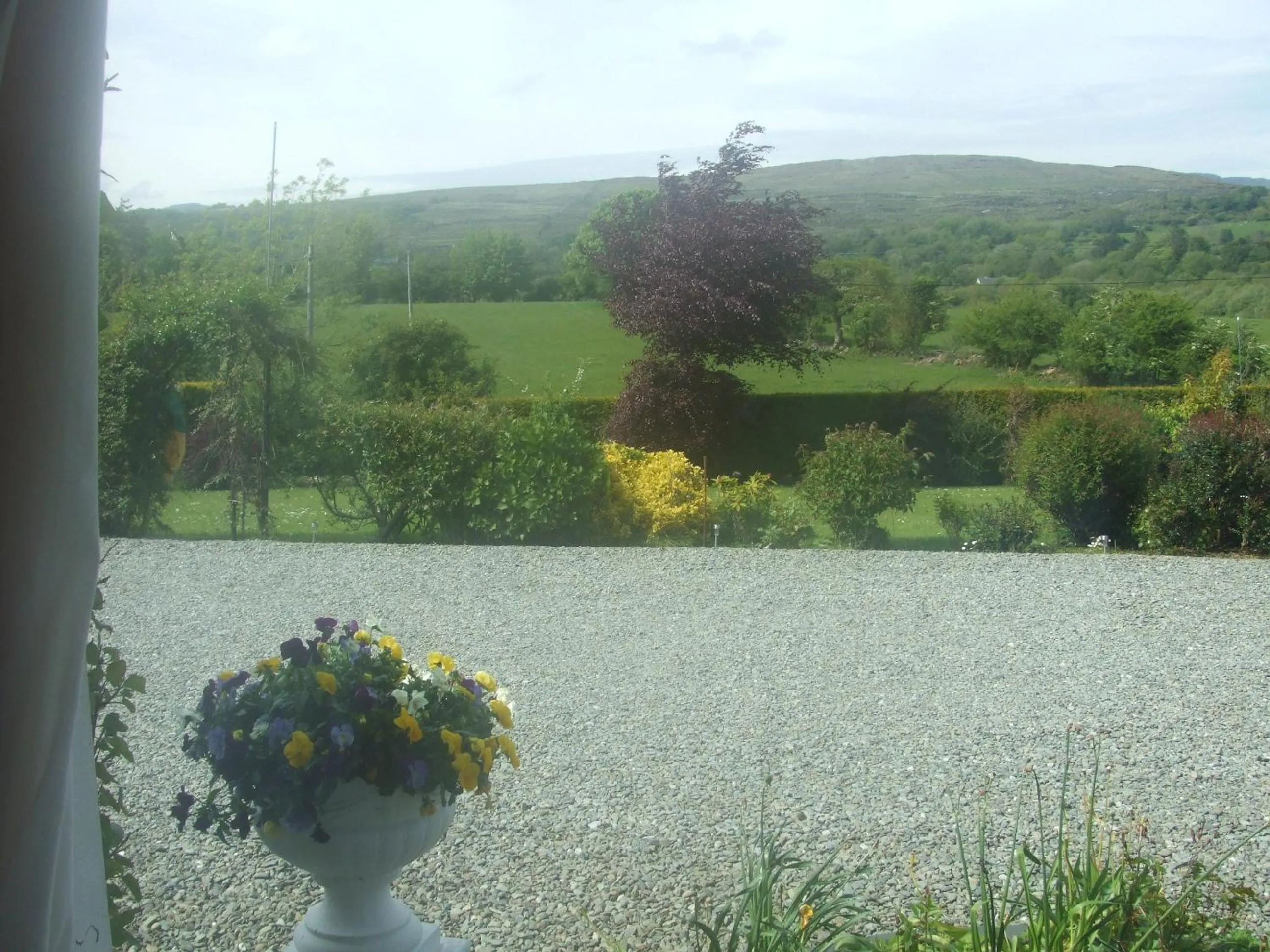 Garden view in River Meadows B&B