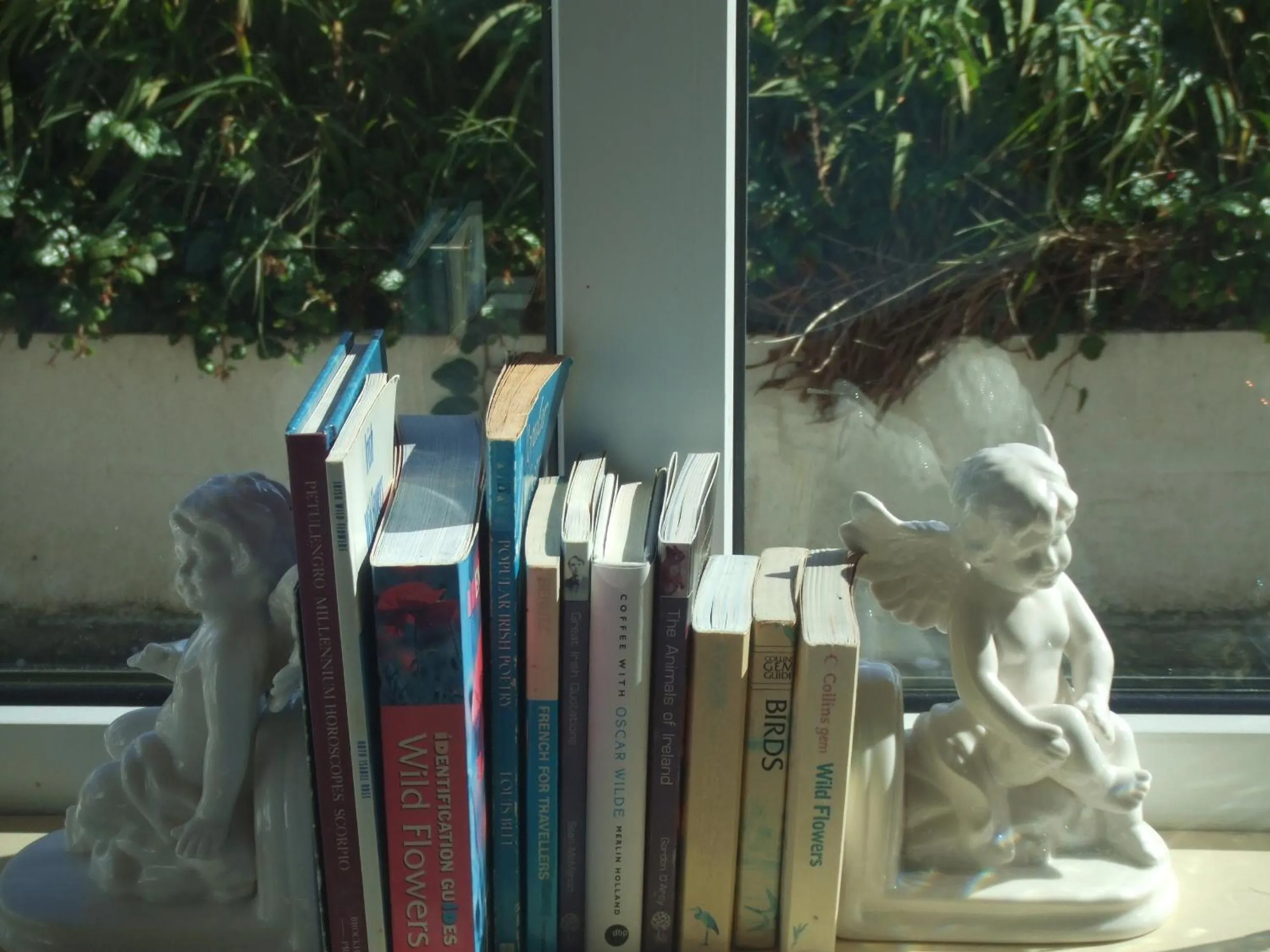 Entertainment in River Meadows B&B