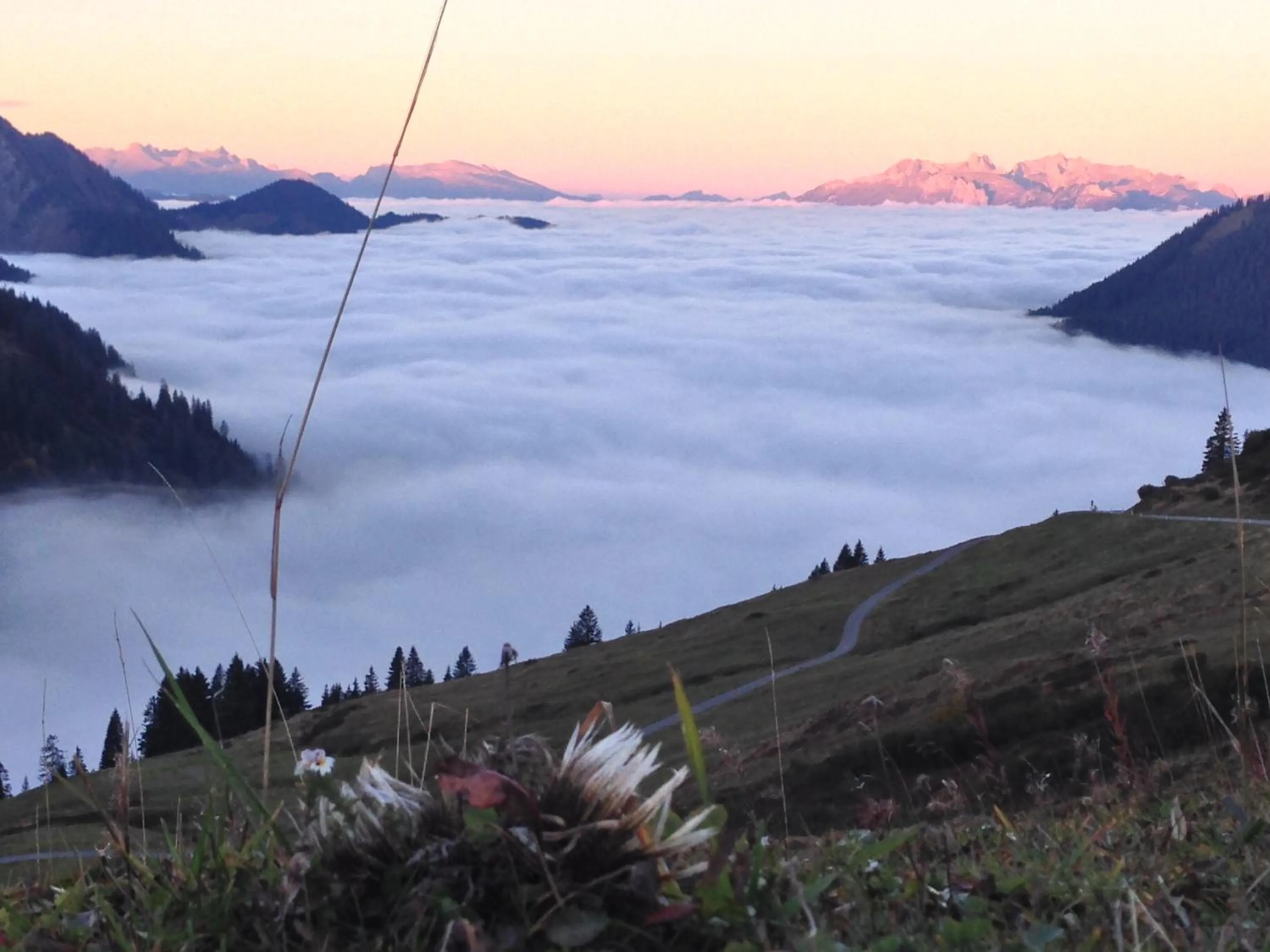 Natural landscape in Hotel Lucia - 3 Sterne Superior