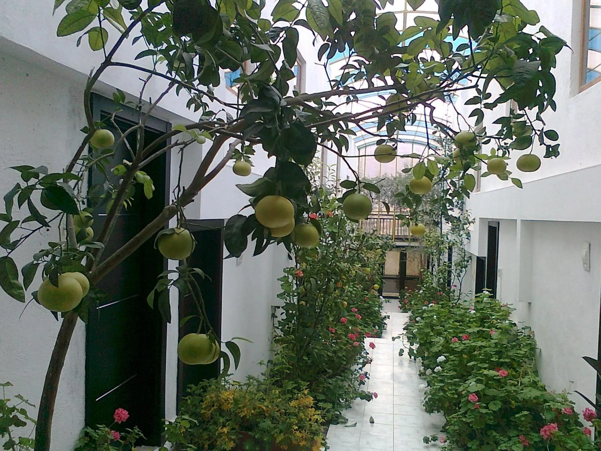 Winter in Family Hotel Belvedere