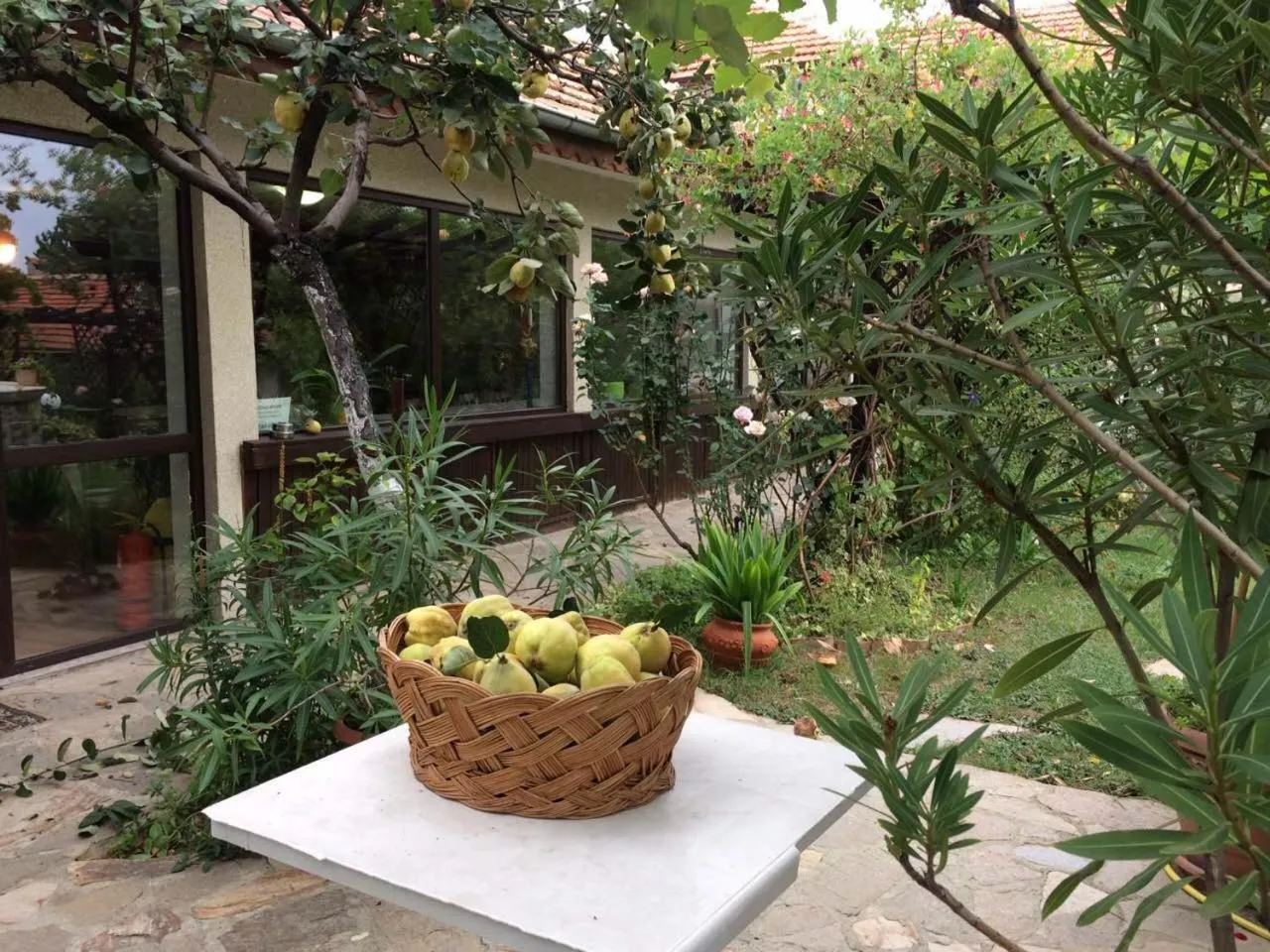 Patio in Family Hotel Belvedere