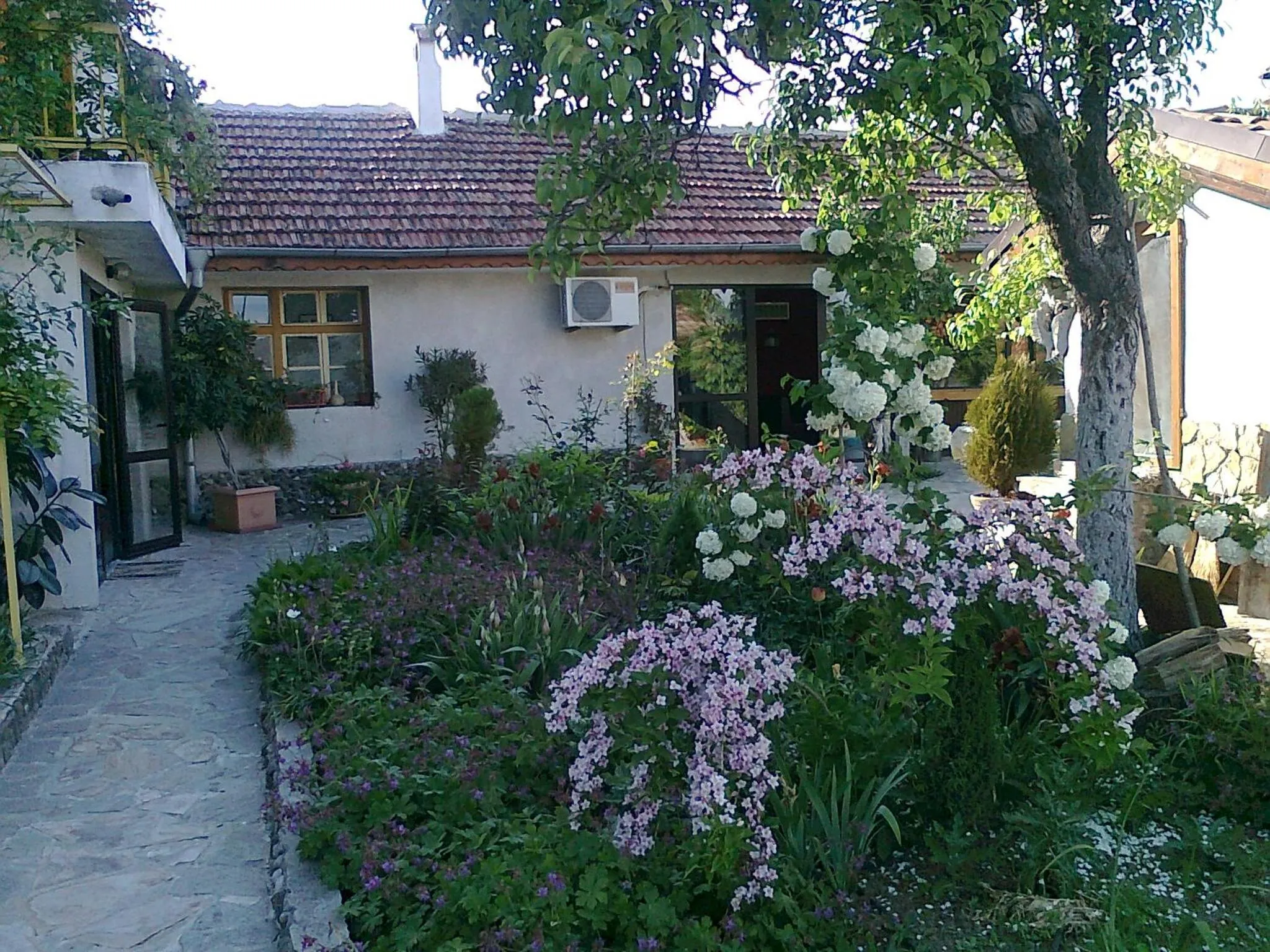 Property building in Family Hotel Belvedere