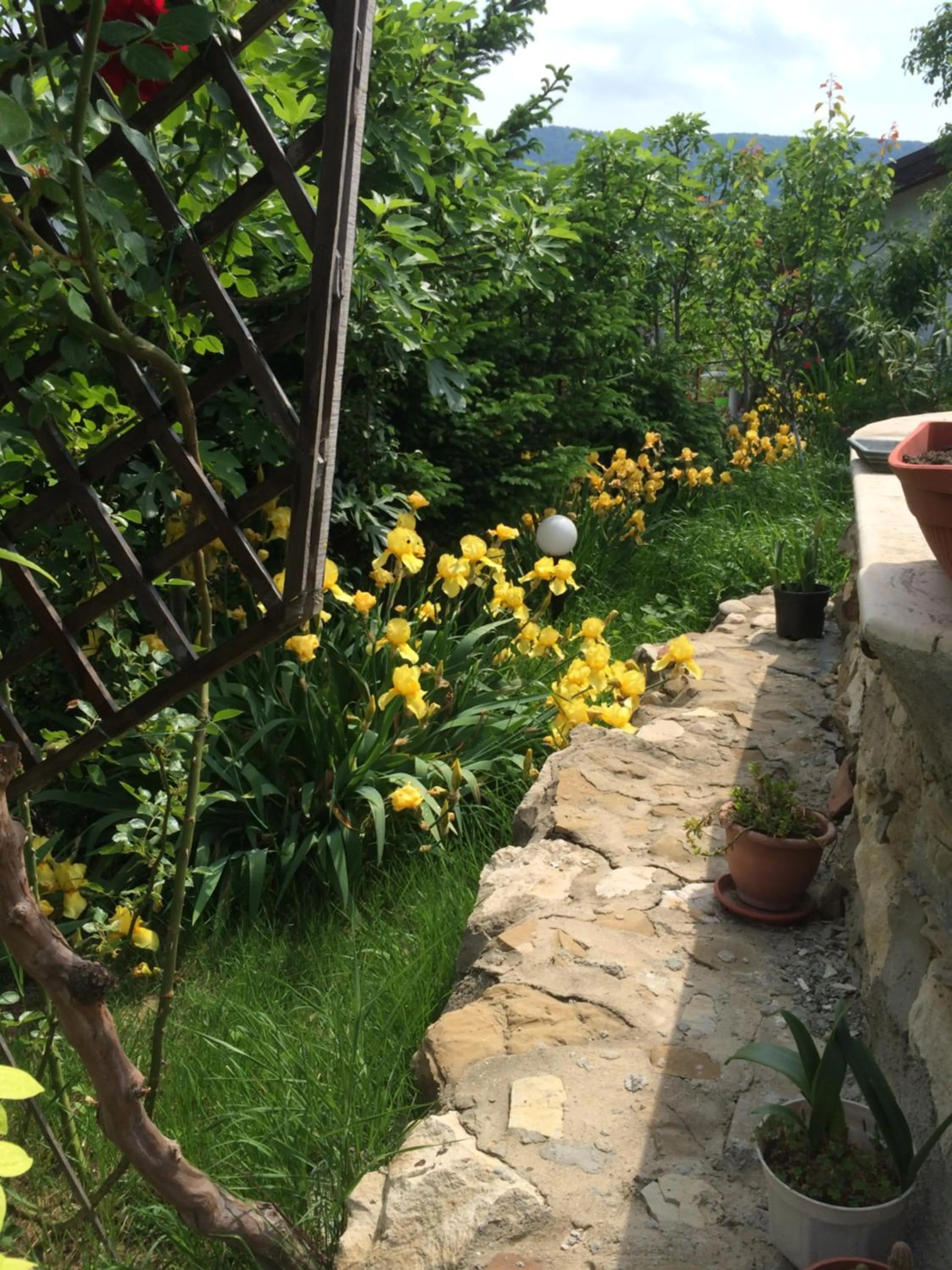 Patio in Family Hotel Belvedere