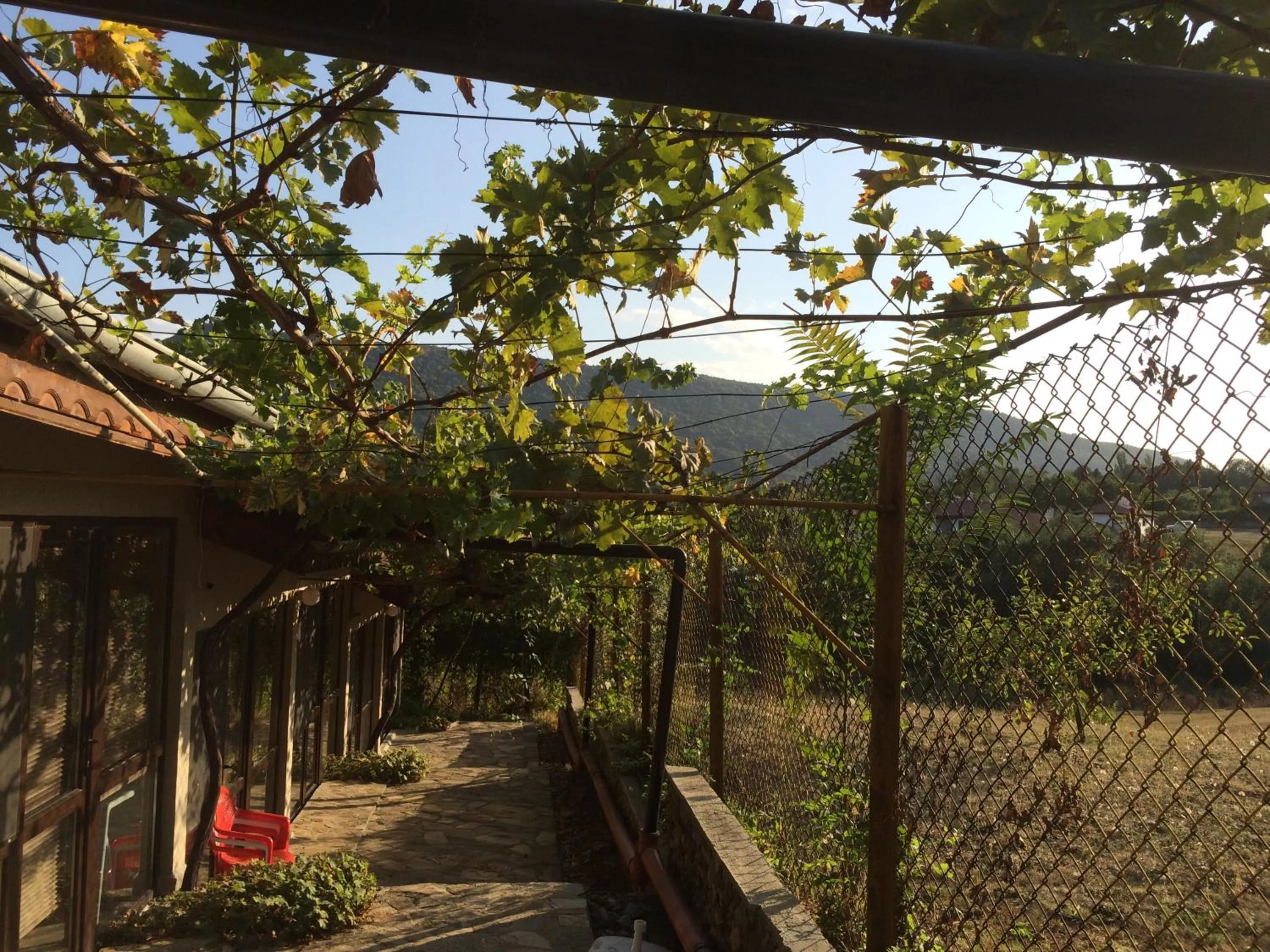 View (from property/room) in Family Hotel Belvedere