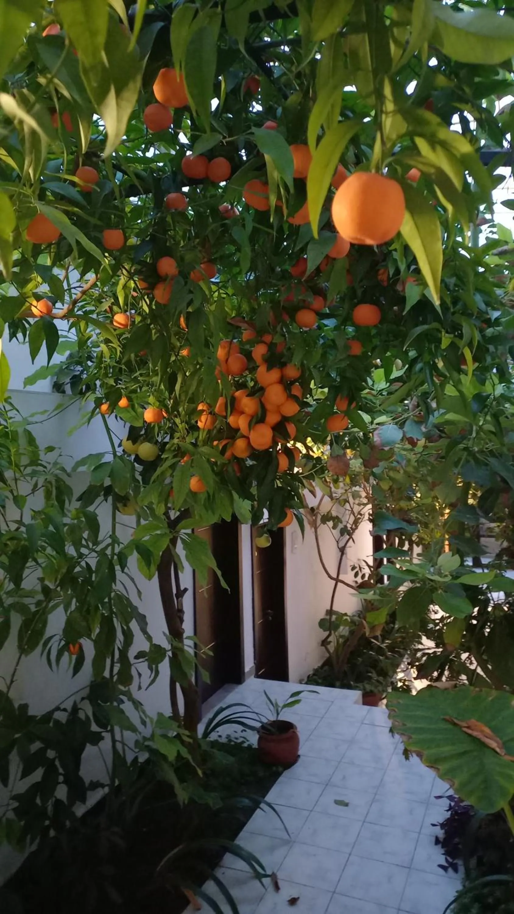 Family Hotel Belvedere