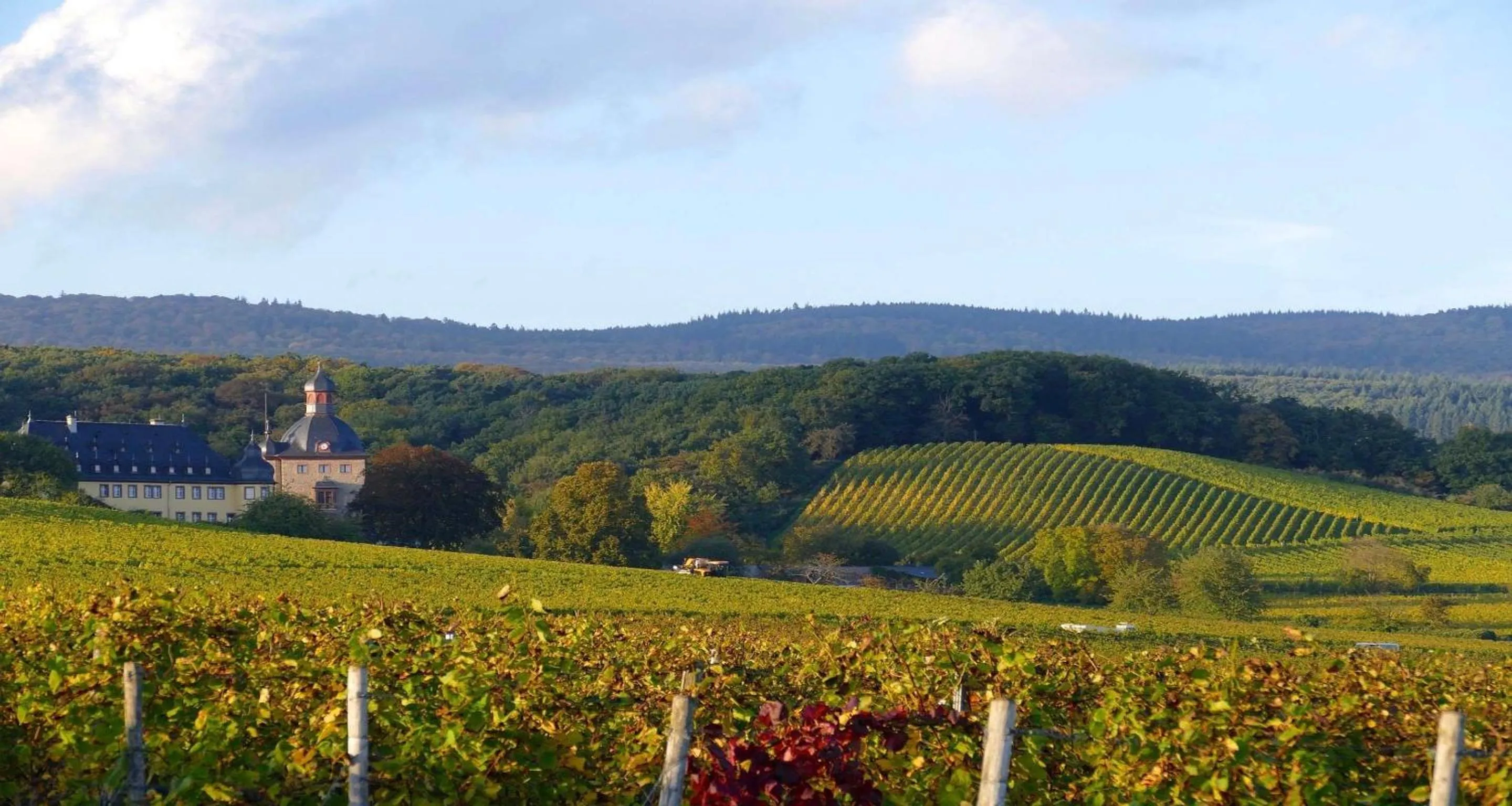 Nearby landmark in Best Western Hotel Wiesbaden