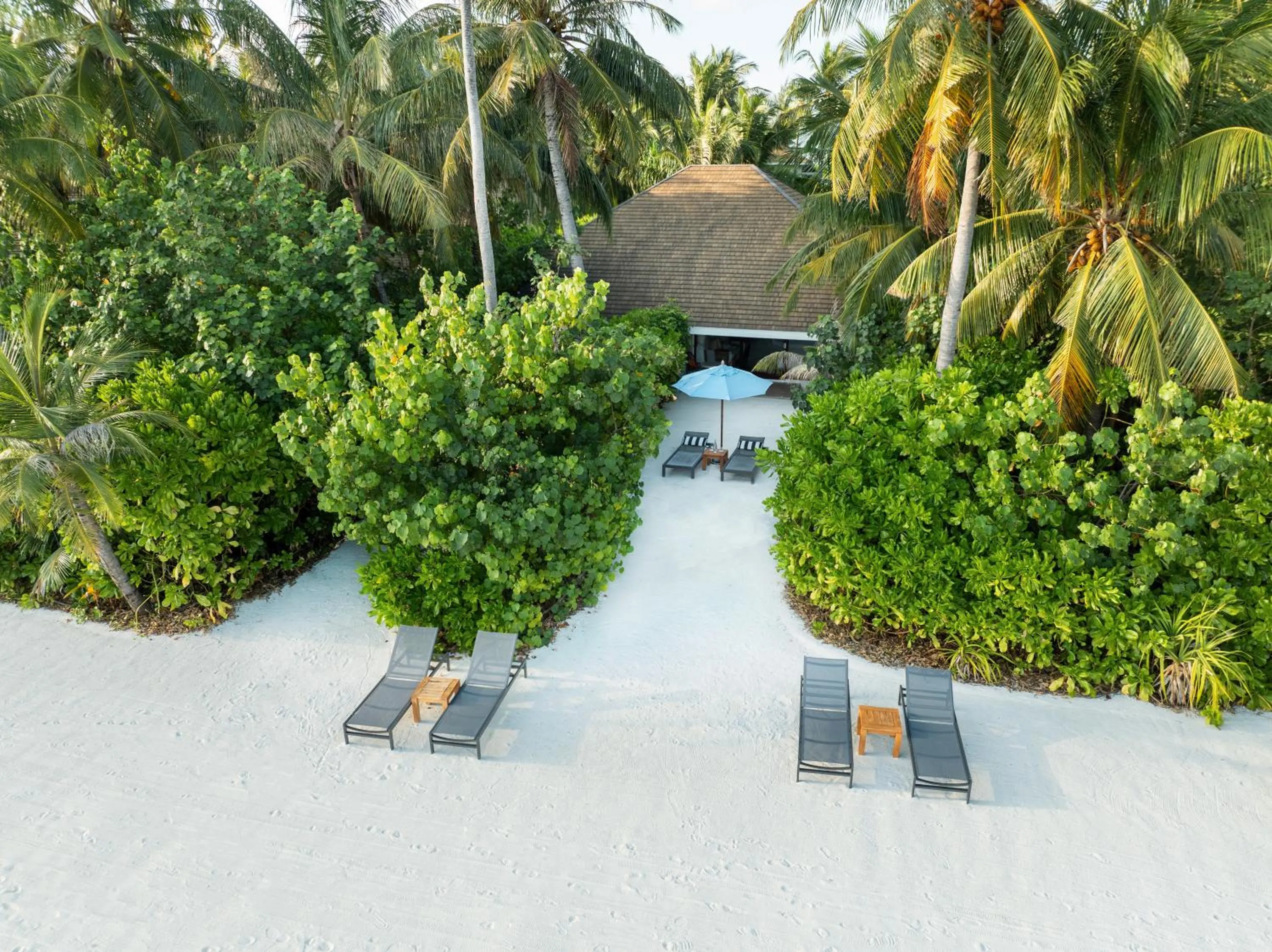 Beach in SAii Lagoon Maldives, Curio Collection By Hilton