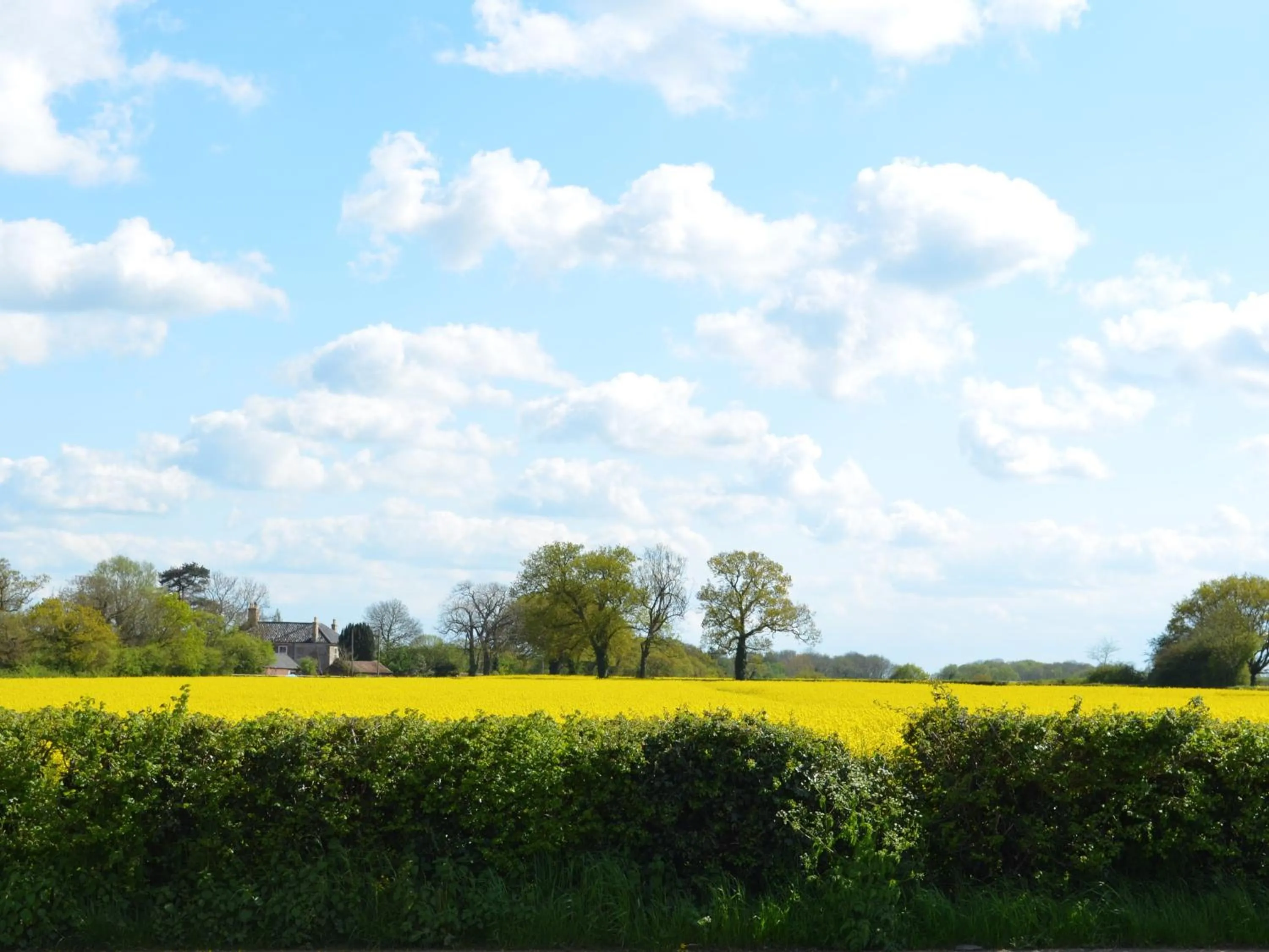 View (from property/room) in The Bird in Hand