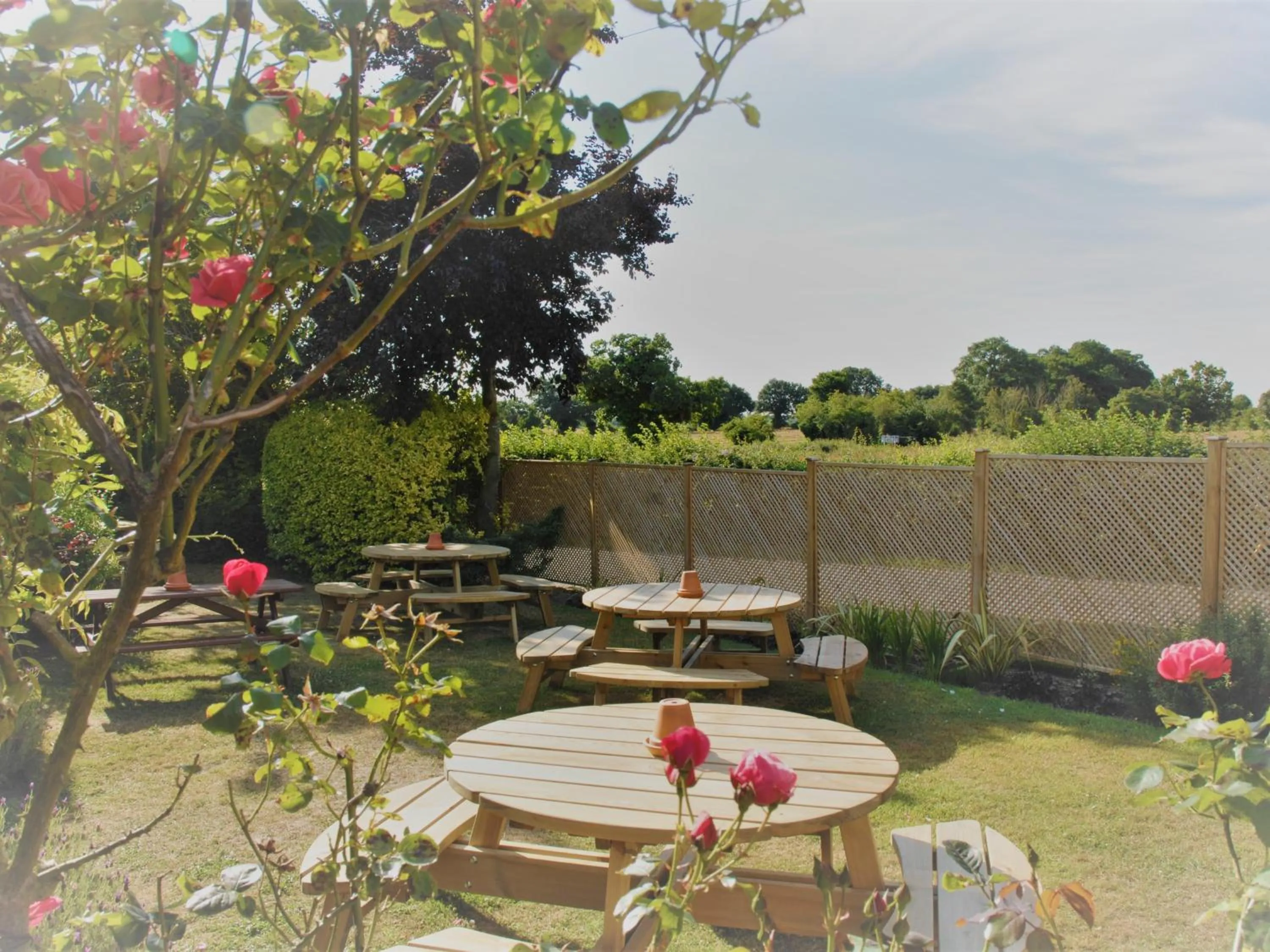 Property building in The Bird in Hand