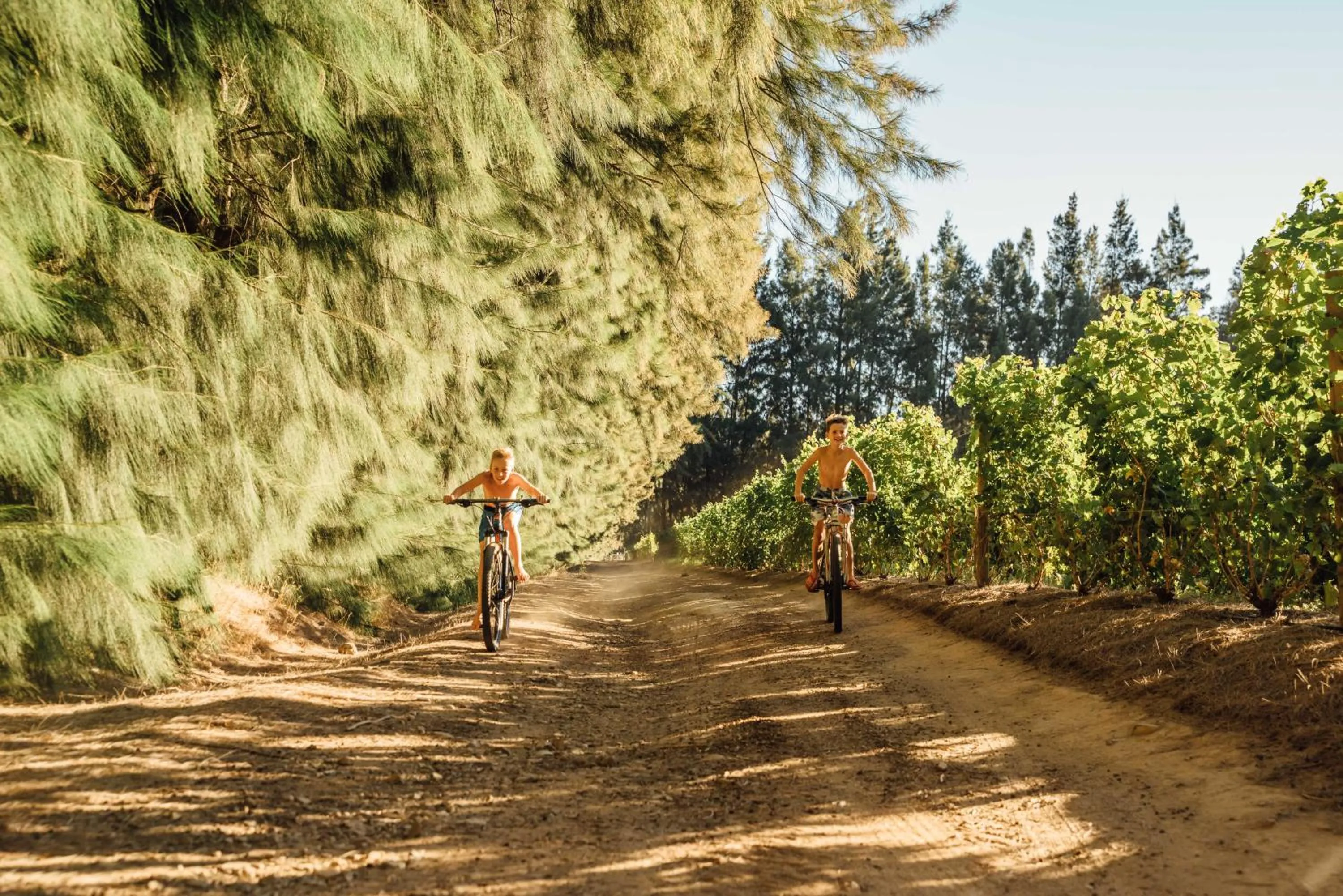 Activities in AfriCamps at Doolhof Wine Estate