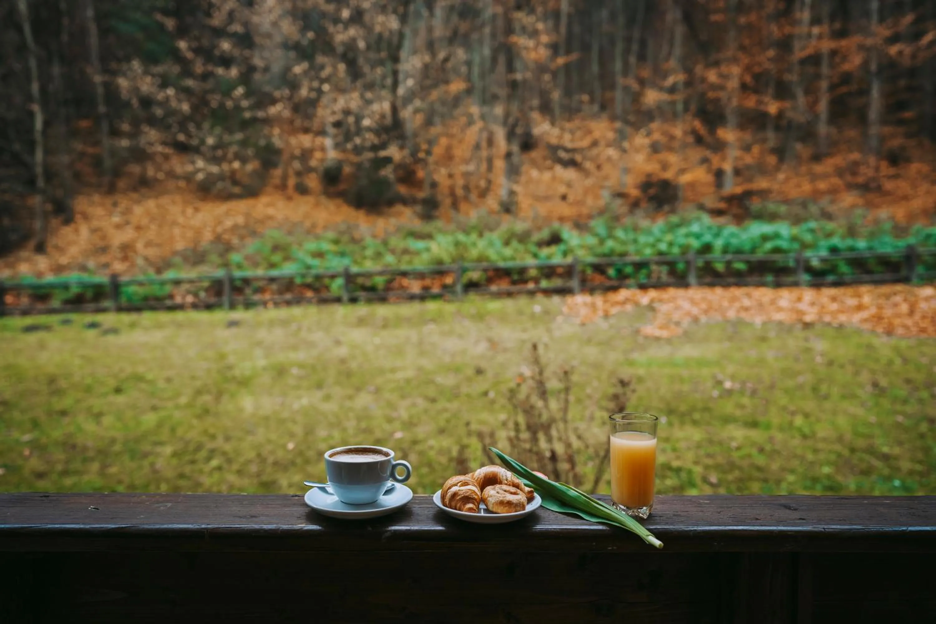 Day in Hotel & Restaurant Sofia