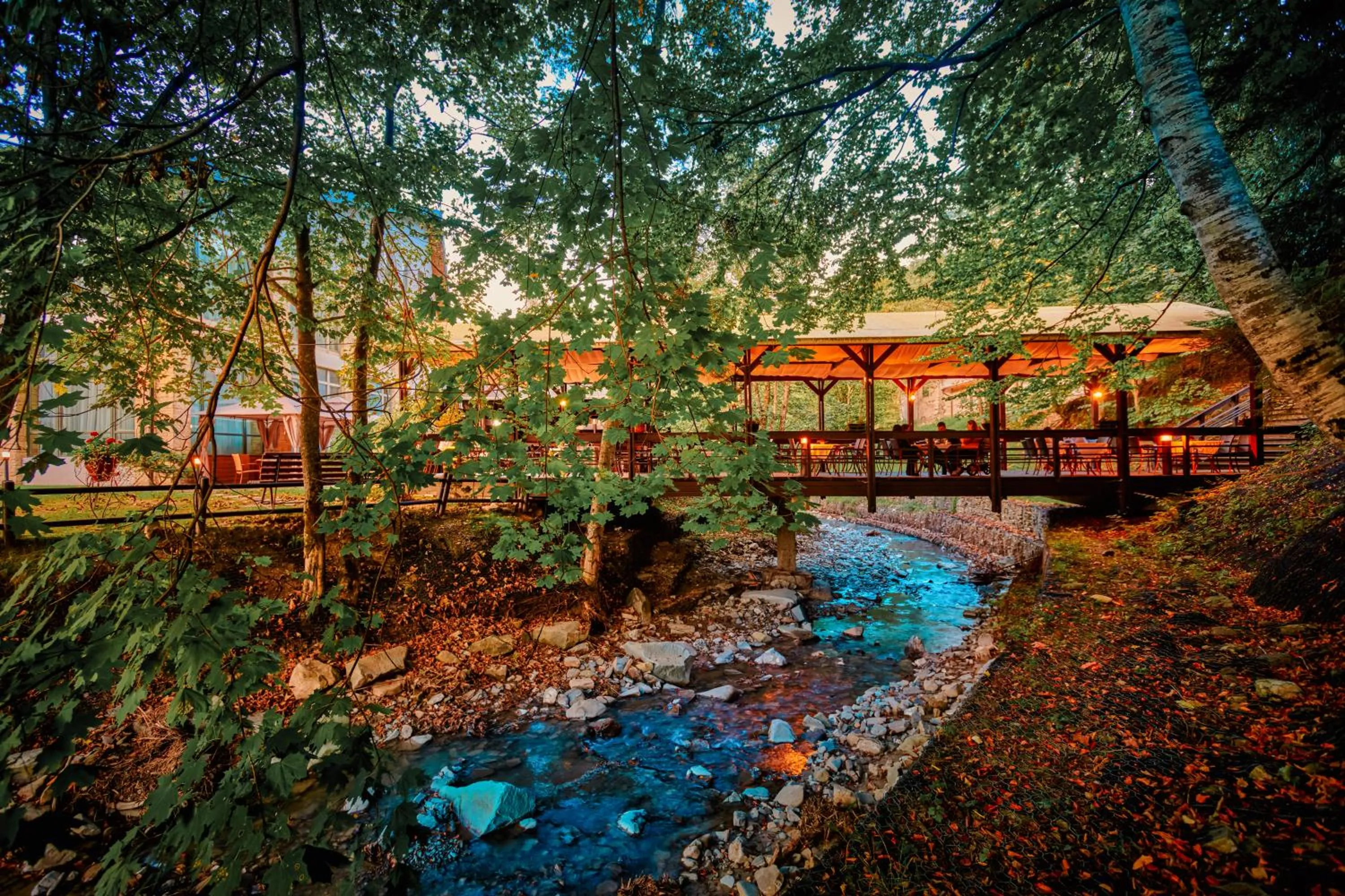 Garden in Hotel & Restaurant Sofia