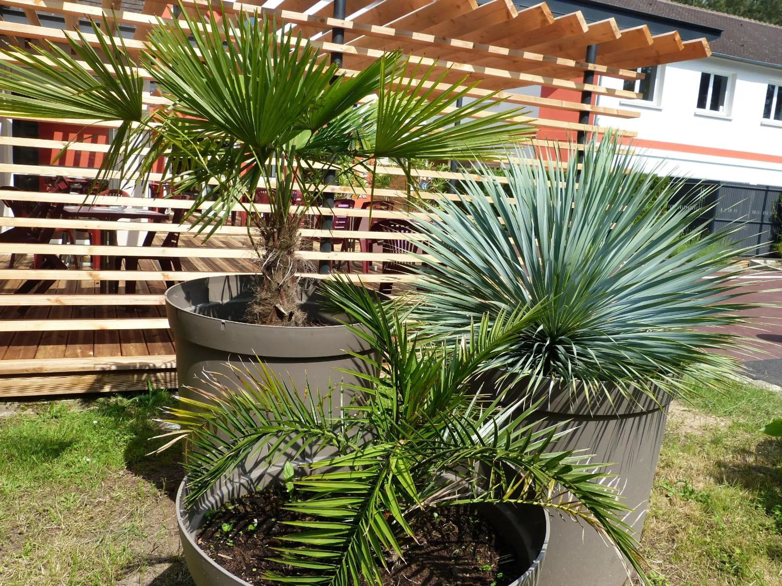 Day in Hotel ARBOR - Les Hunaudieres - Le Mans Sud - Mulsanne