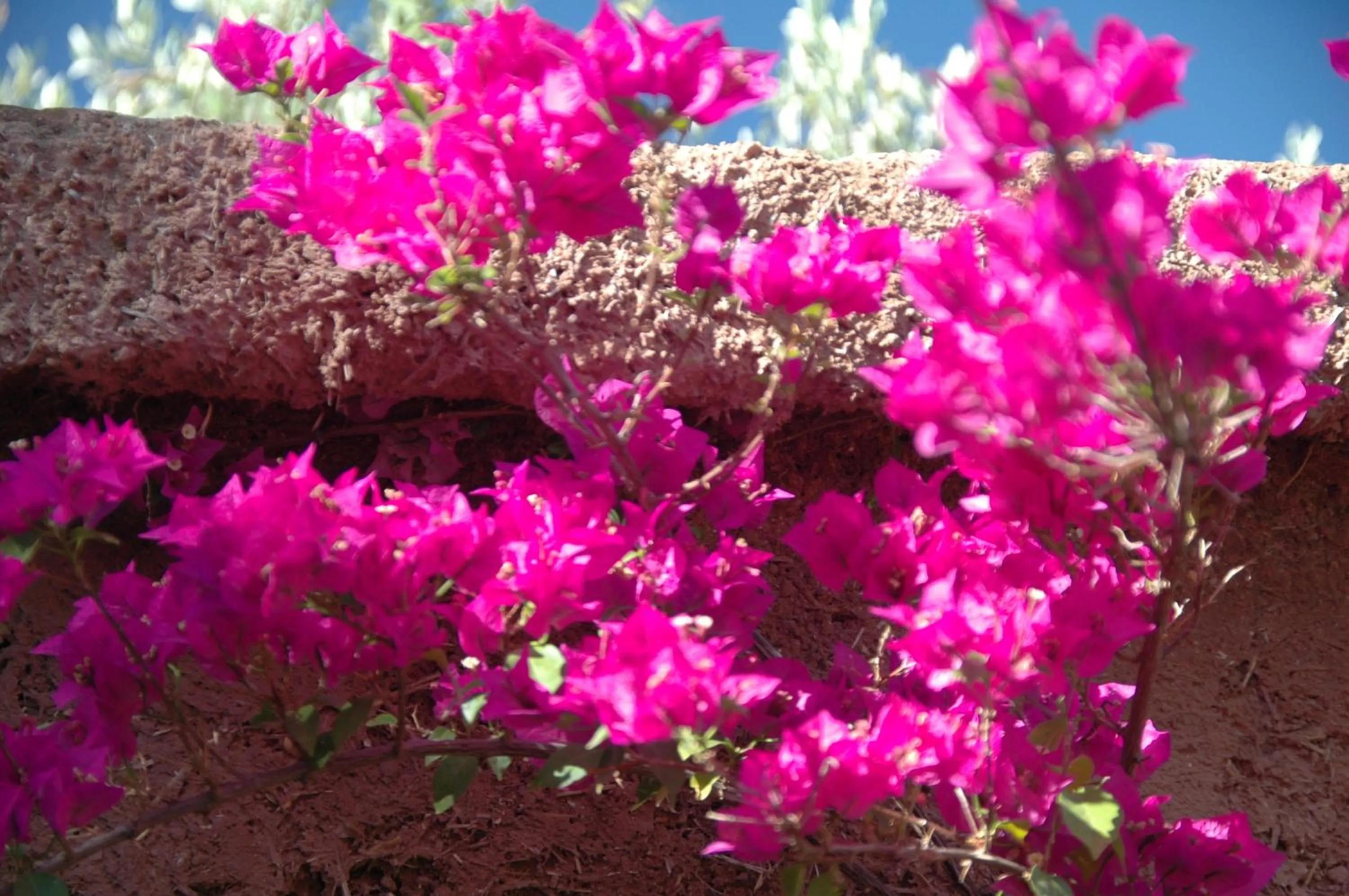 Auberge Chez Momo II