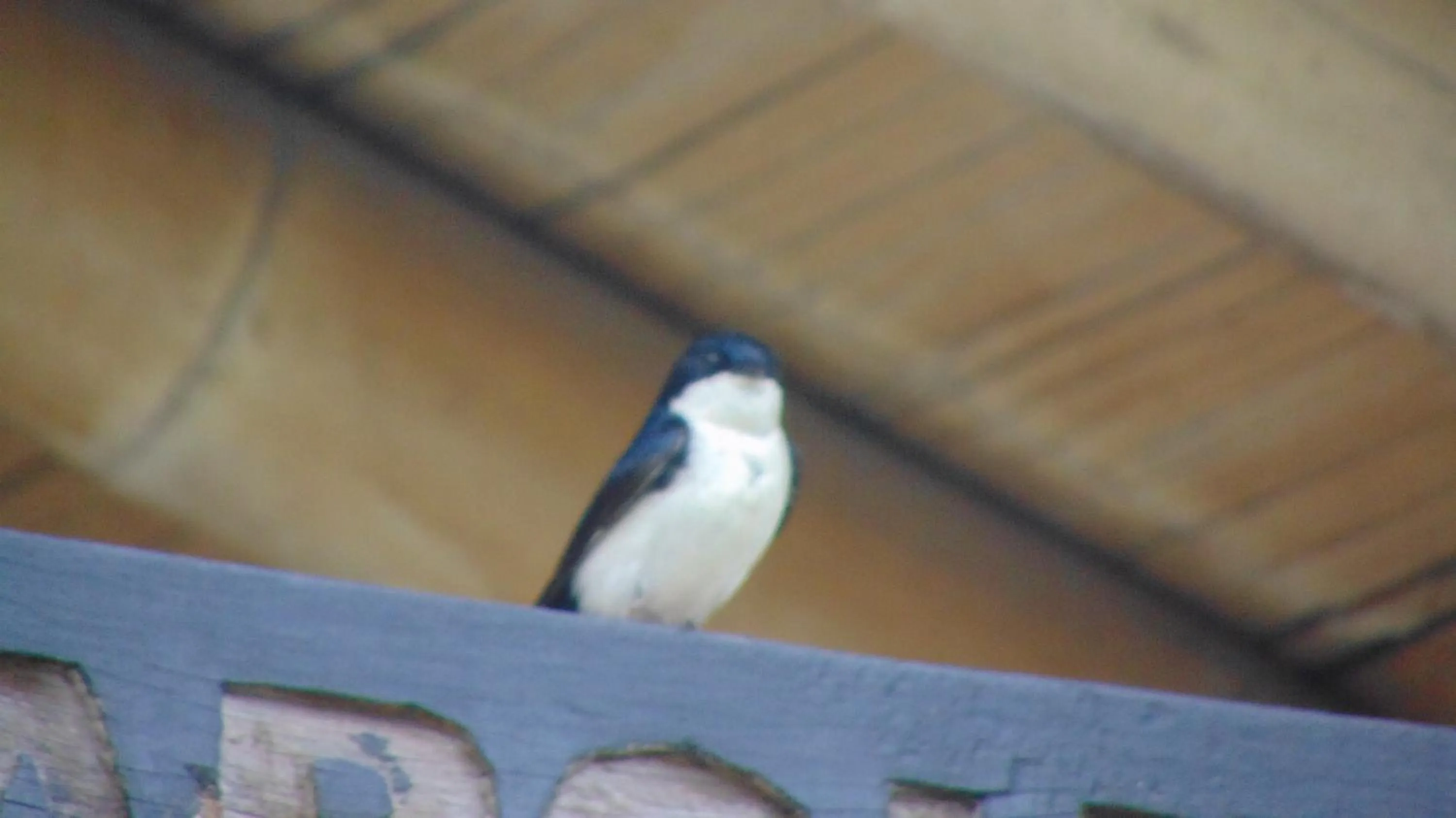 Finca Hotel La Quinta Porra