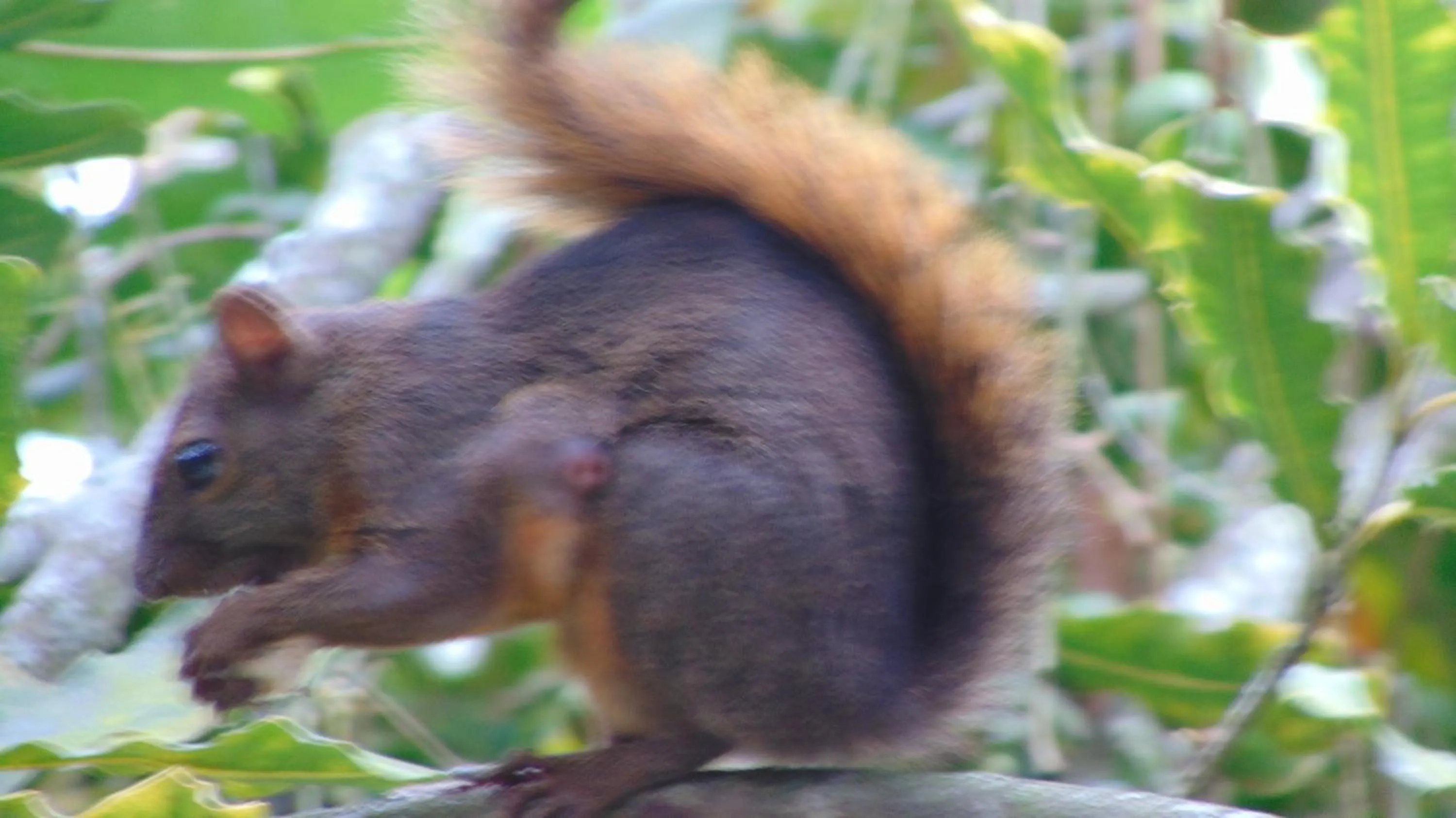 Finca Hotel La Quinta Porra