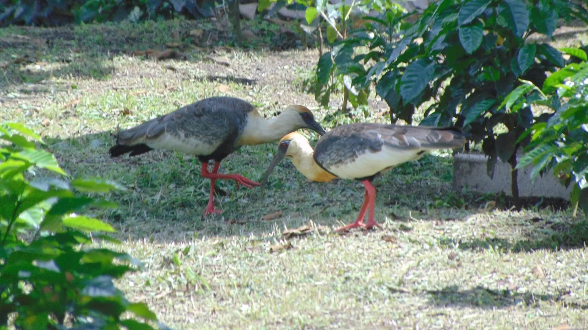 Finca Hotel La Quinta Porra