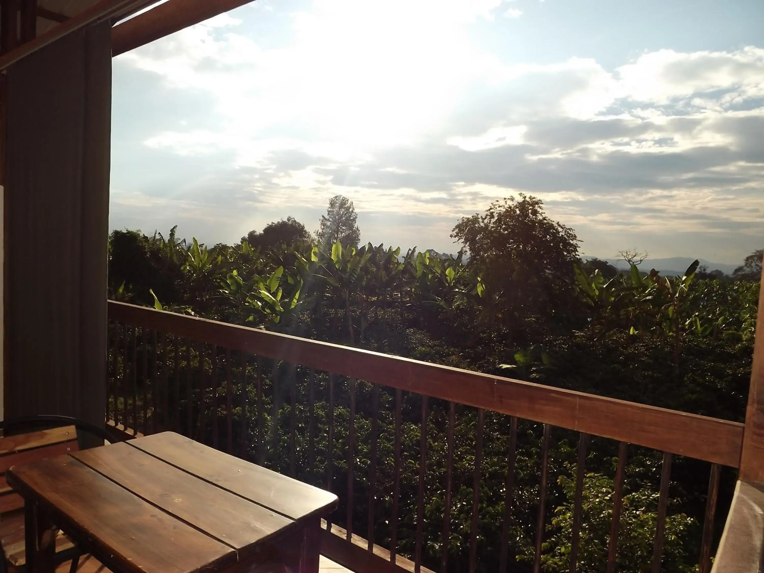Balcony/Terrace in Finca Hotel La Quinta Porra Balcony/Terrace in Finca Hotel La Quinta Porra