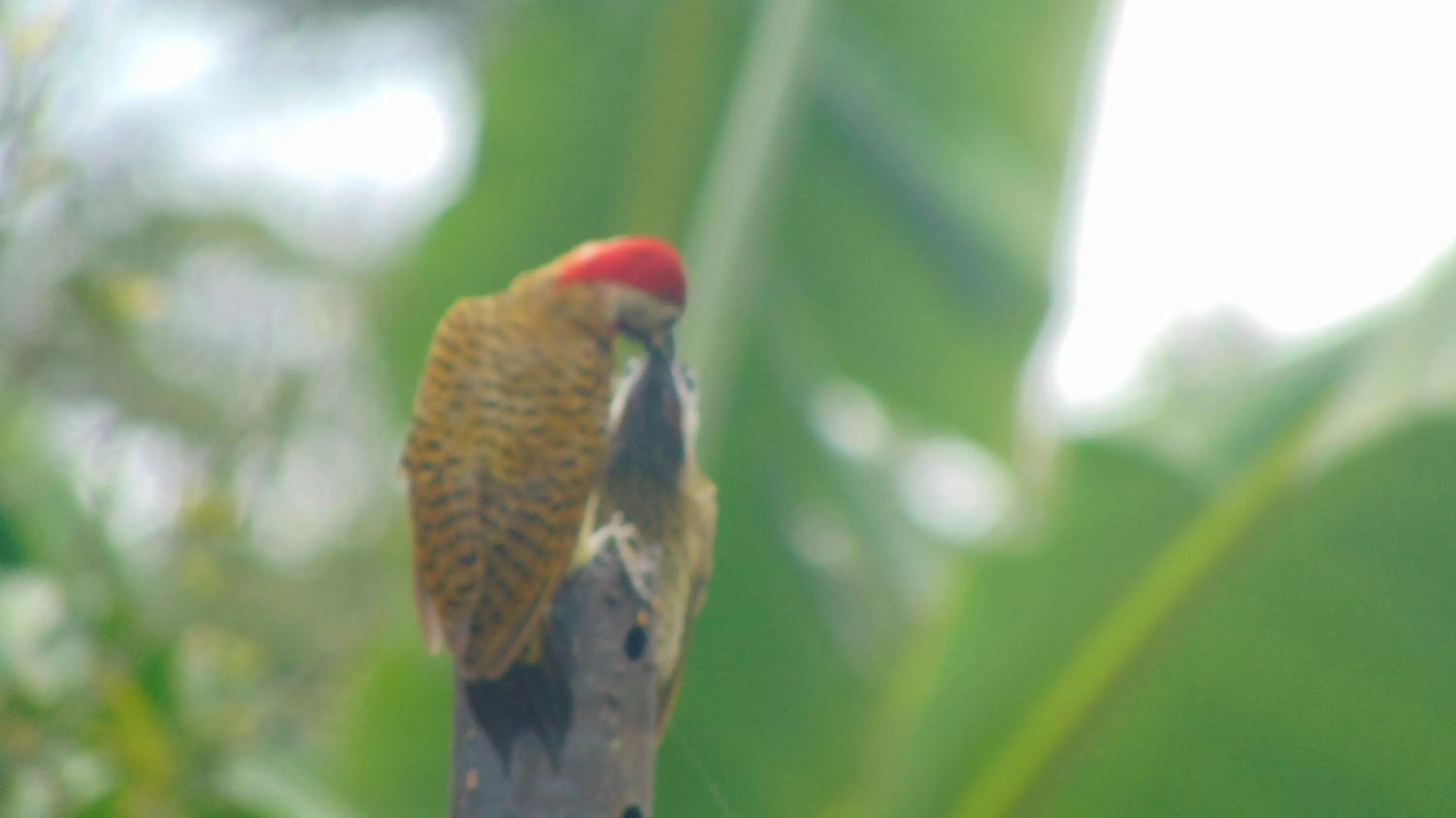 Finca Hotel La Quinta Porra