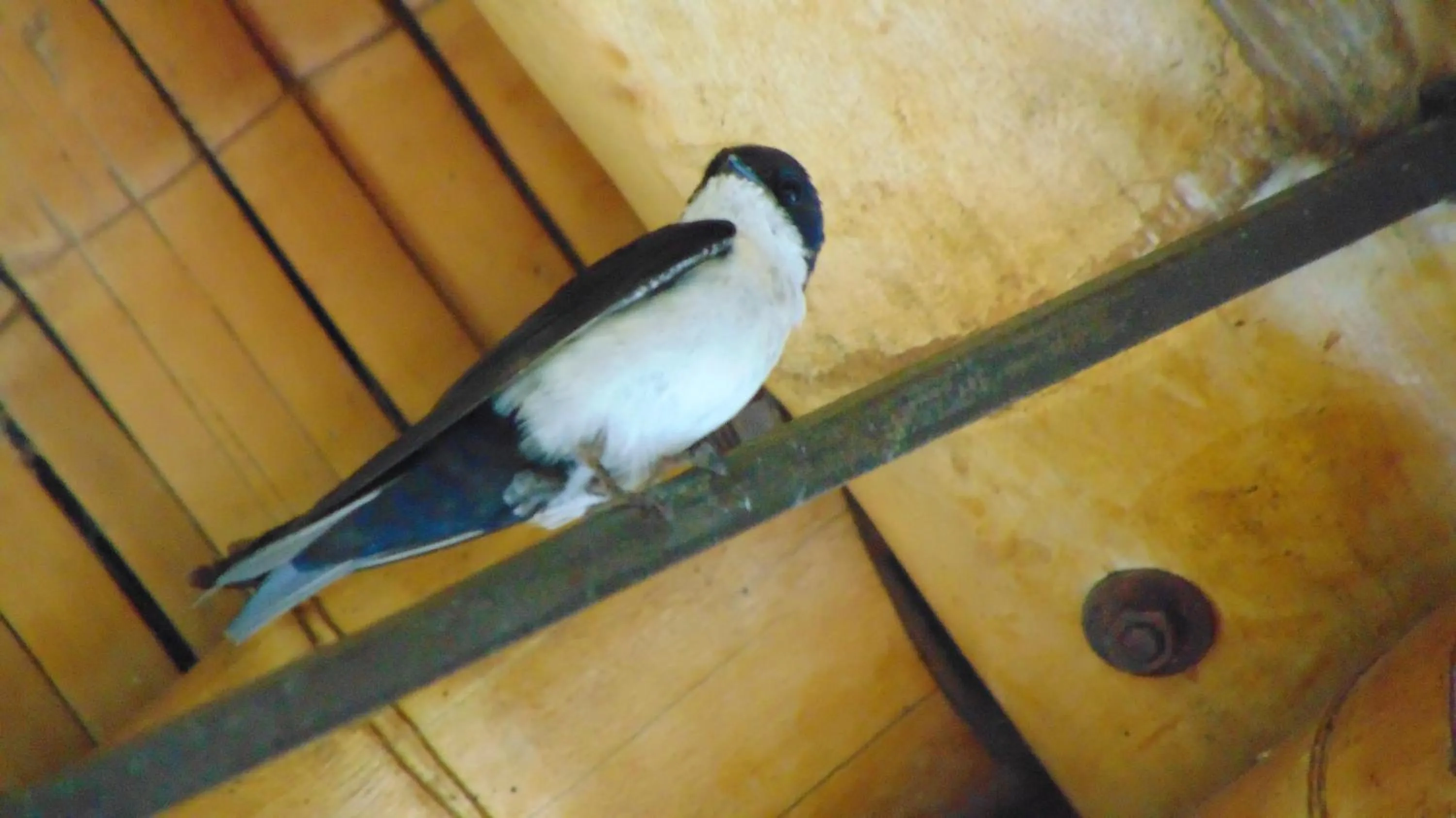 Finca Hotel La Quinta Porra