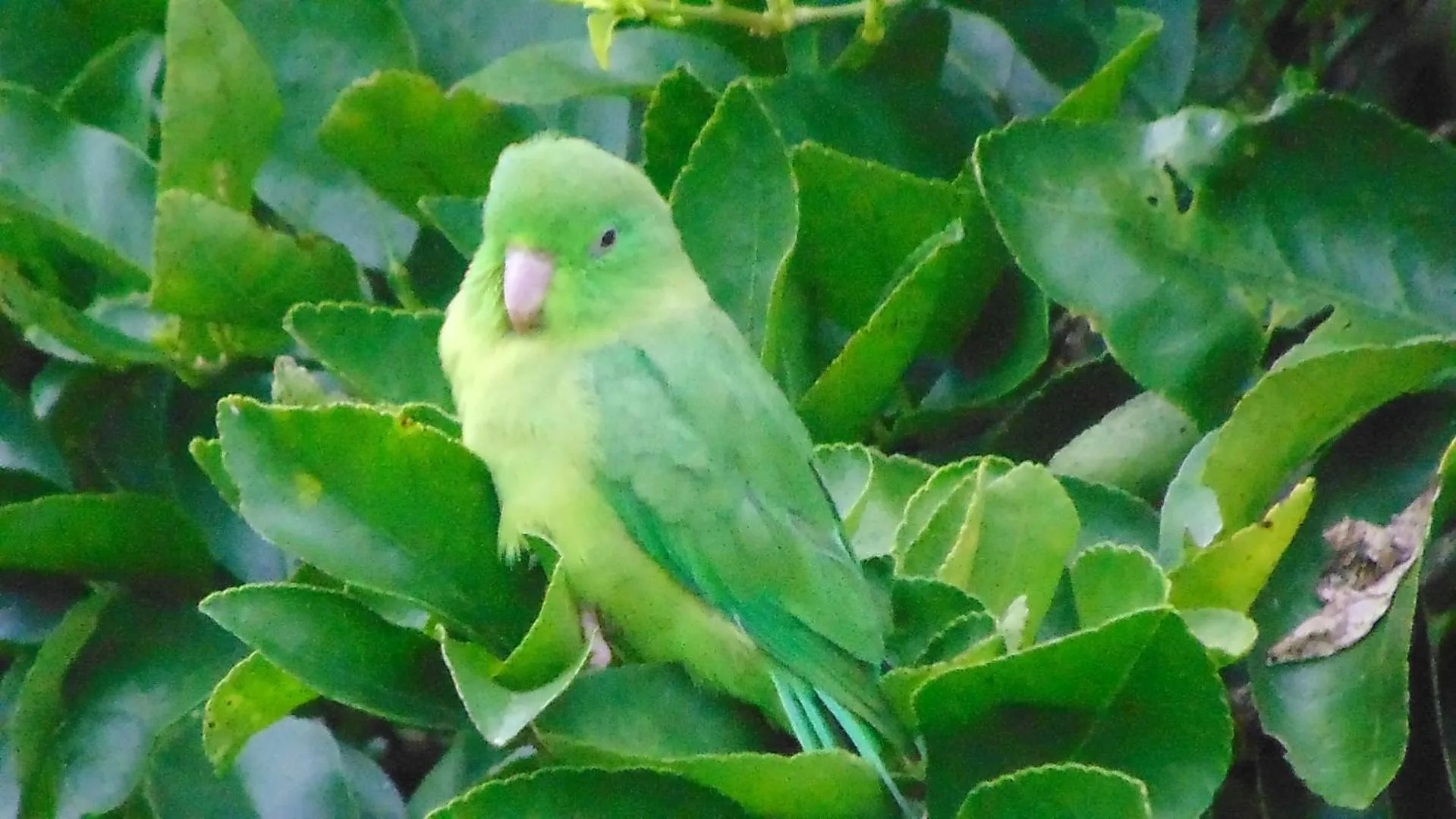 Finca Hotel La Quinta Porra