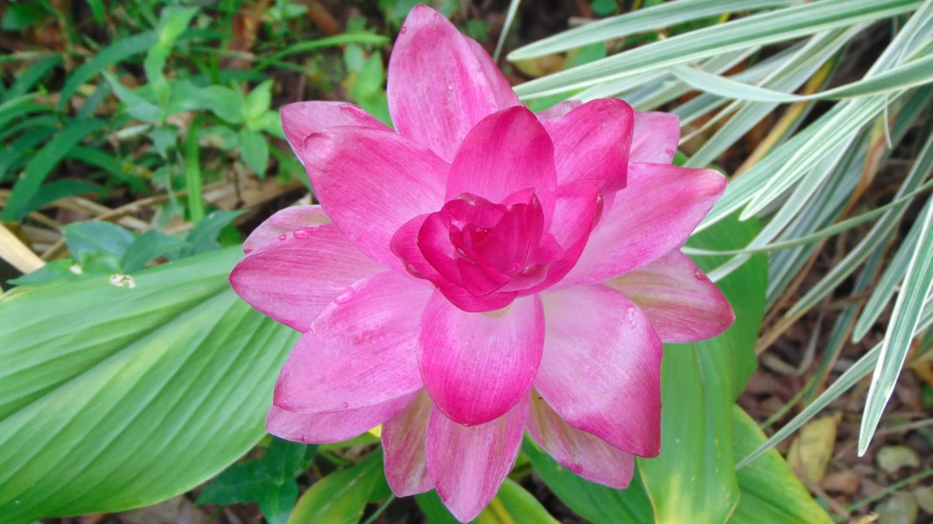 Finca Hotel La Quinta Porra